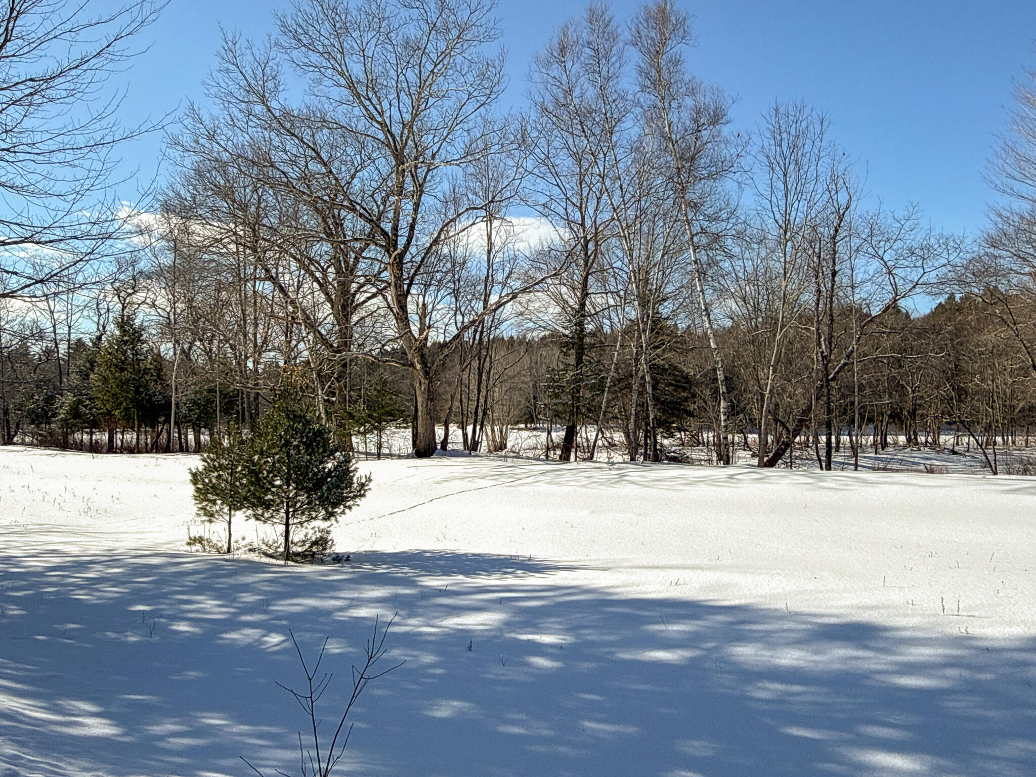 1000 Grindstone Road Property Photo 12