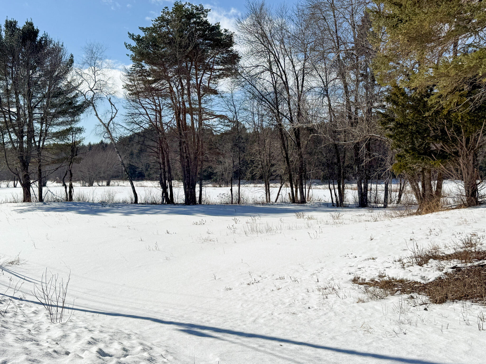 1000 Grindstone Road Property Photo 16