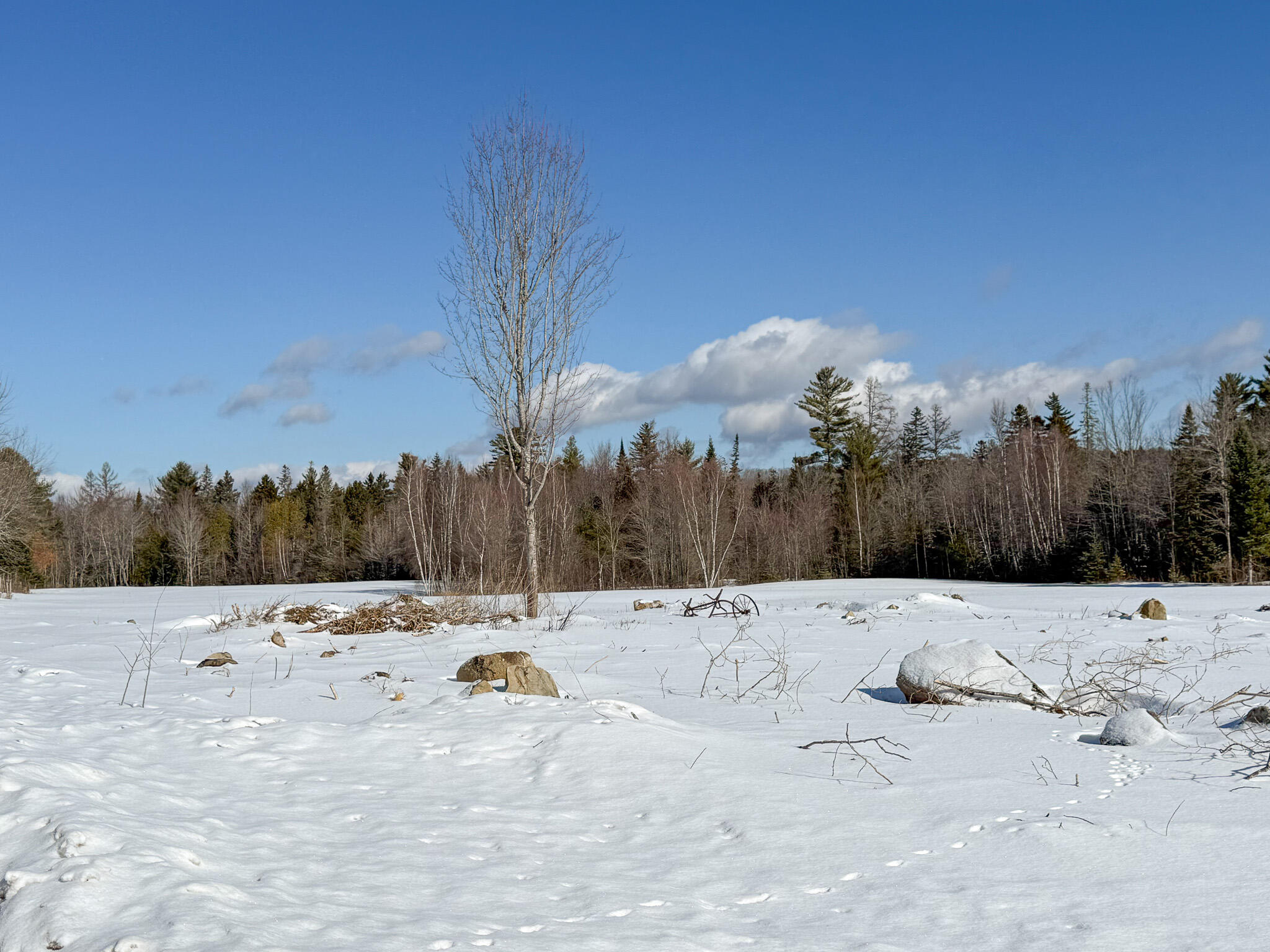 1000 Grindstone Road Property Photo 19