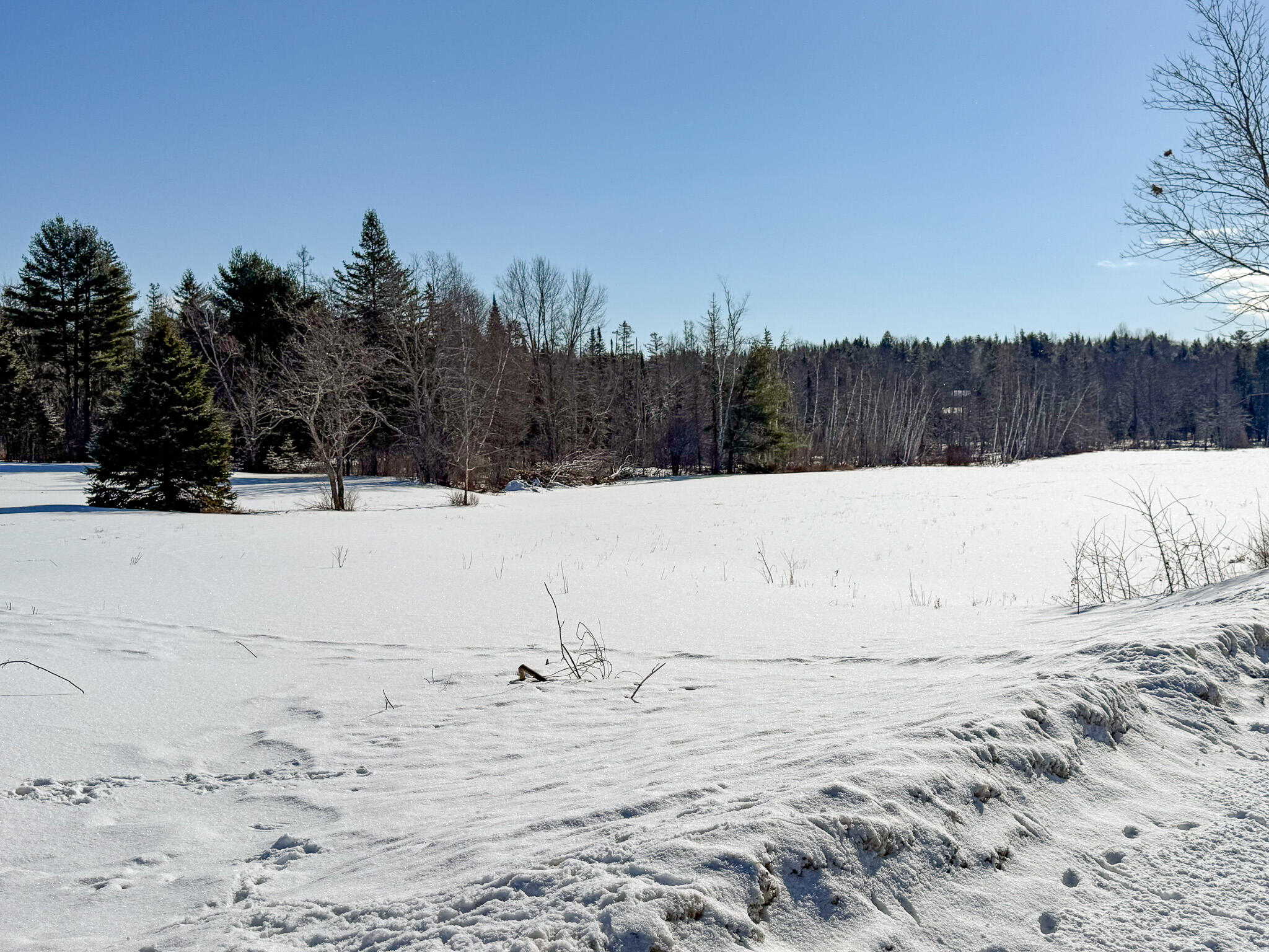 1000 Grindstone Road Property Photo 20