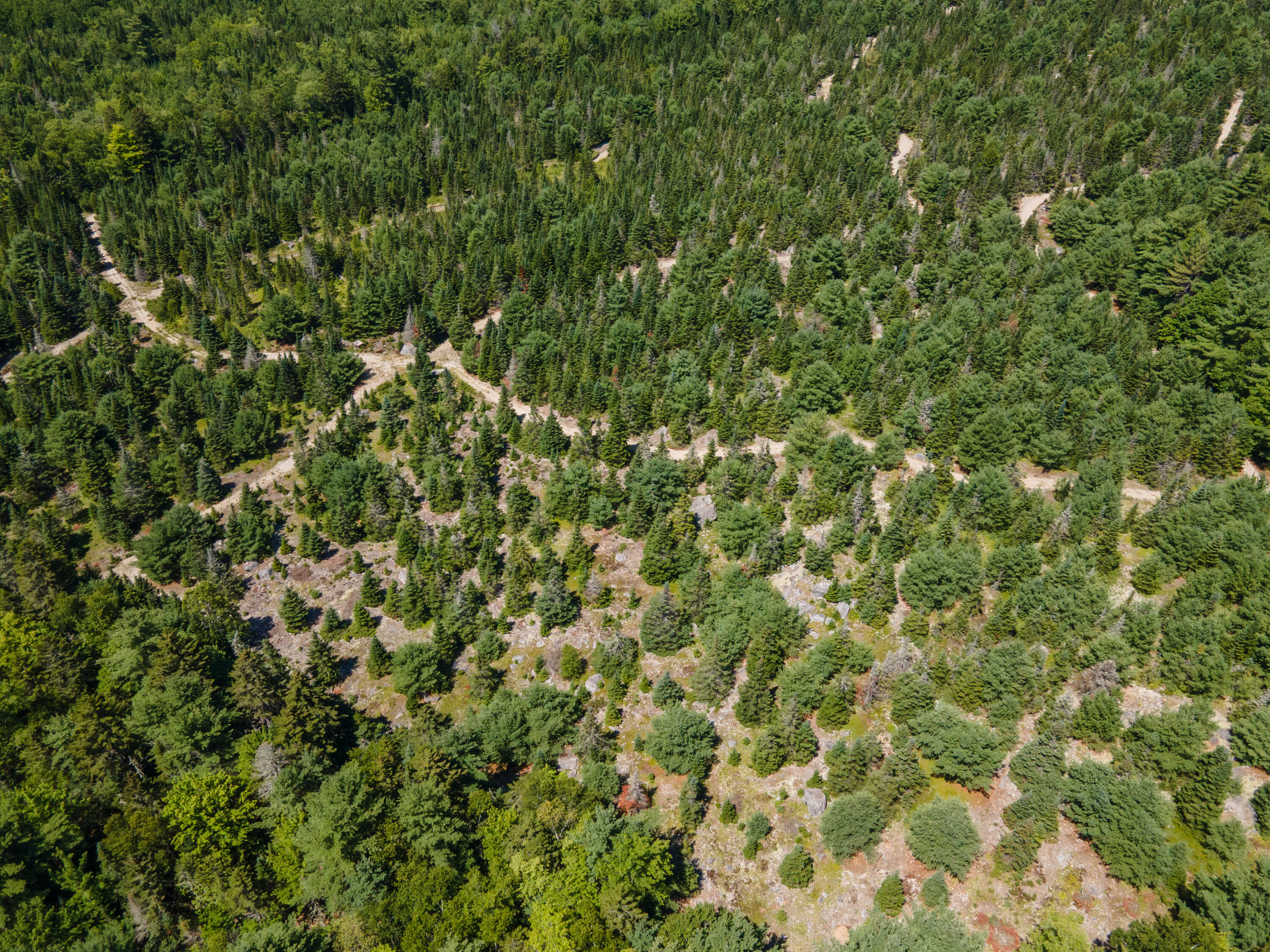 Map10lot27 Blackswoods Road Property Photo 6