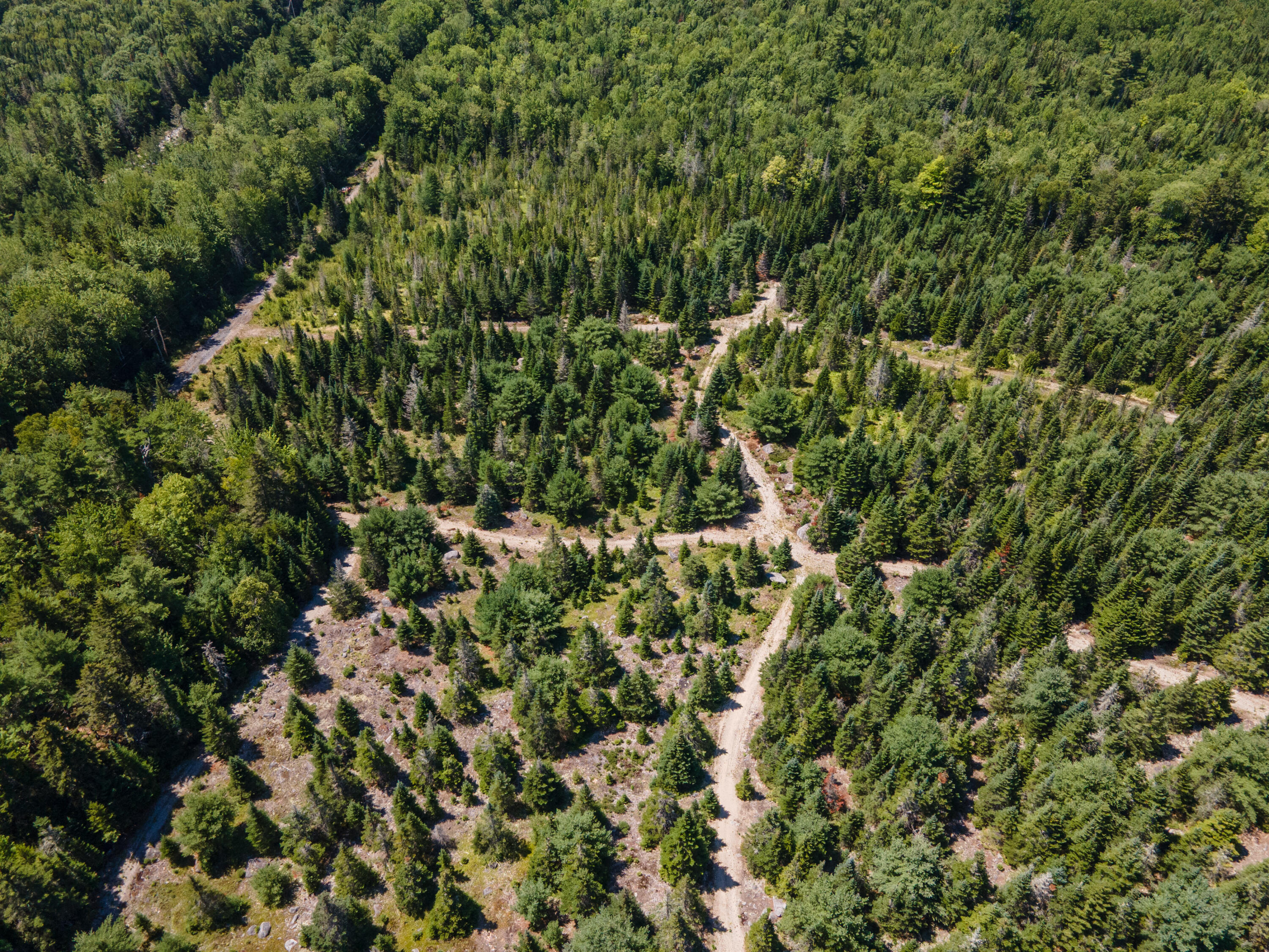 Map10lot27 Blackswoods Road Property Photo 7