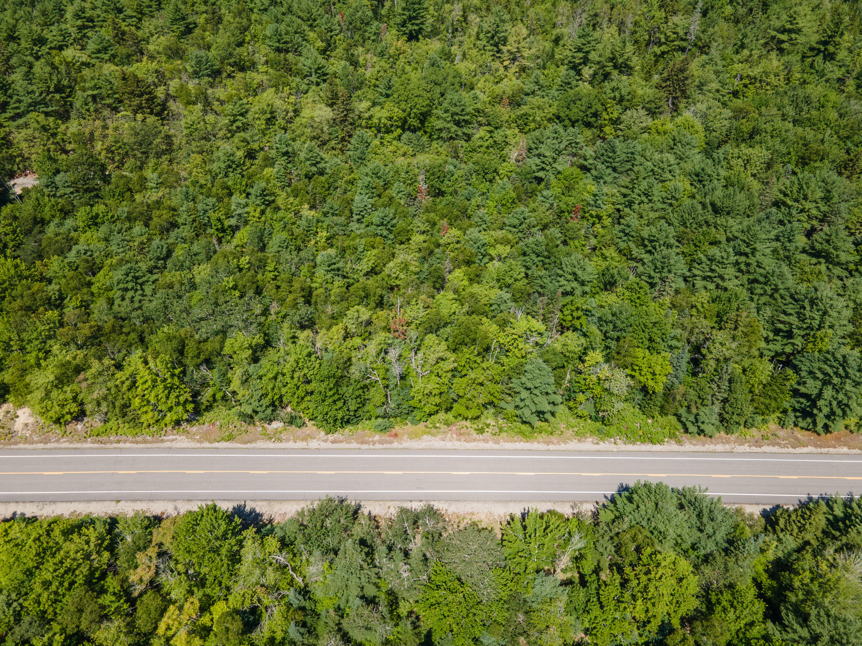 Map10lot27 Blackswoods Road Property Photo 8