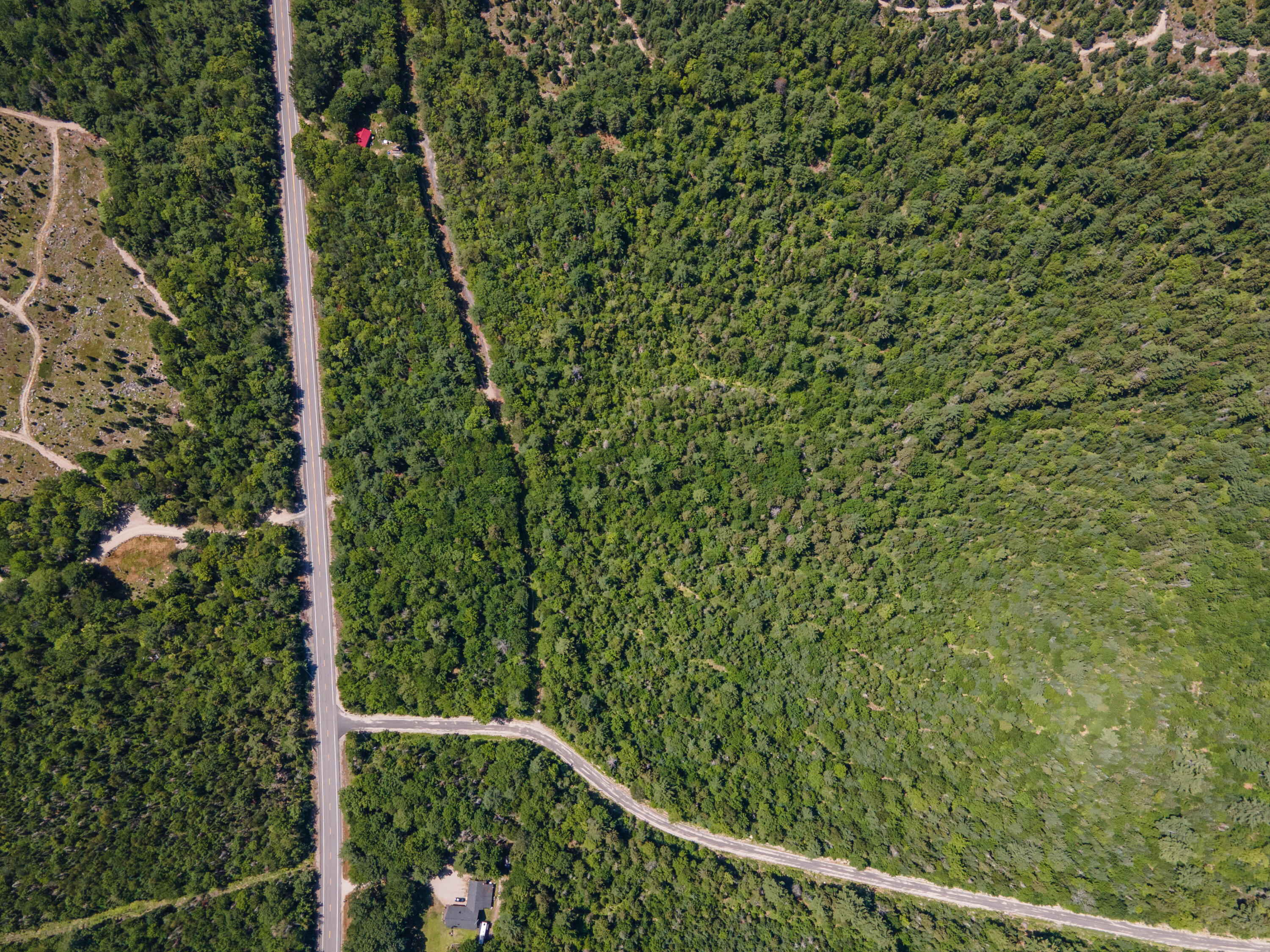 Map10lot27 Blackswoods Road Property Photo 9