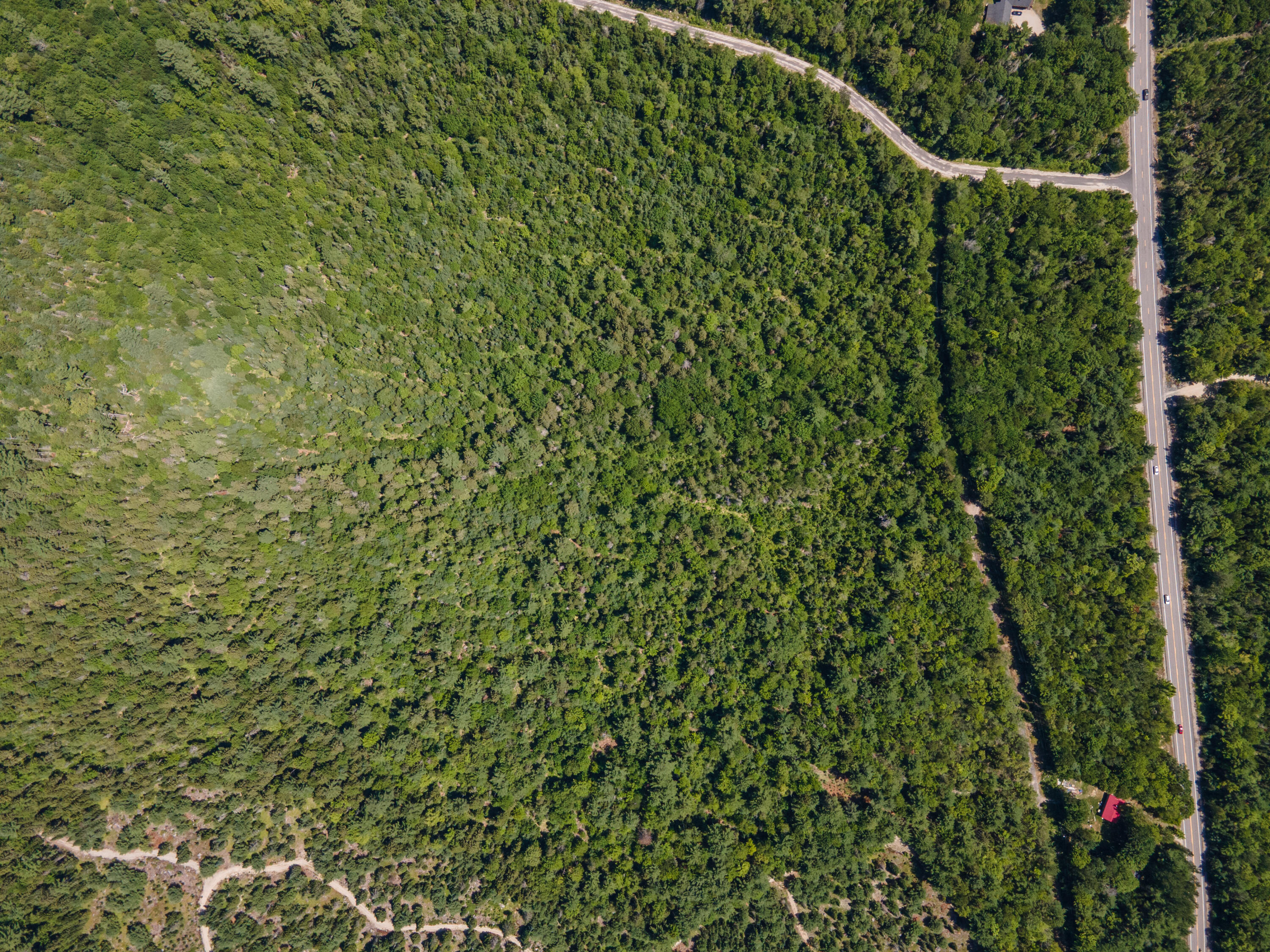 Map10lot27 Blackswoods Road Property Photo 11
