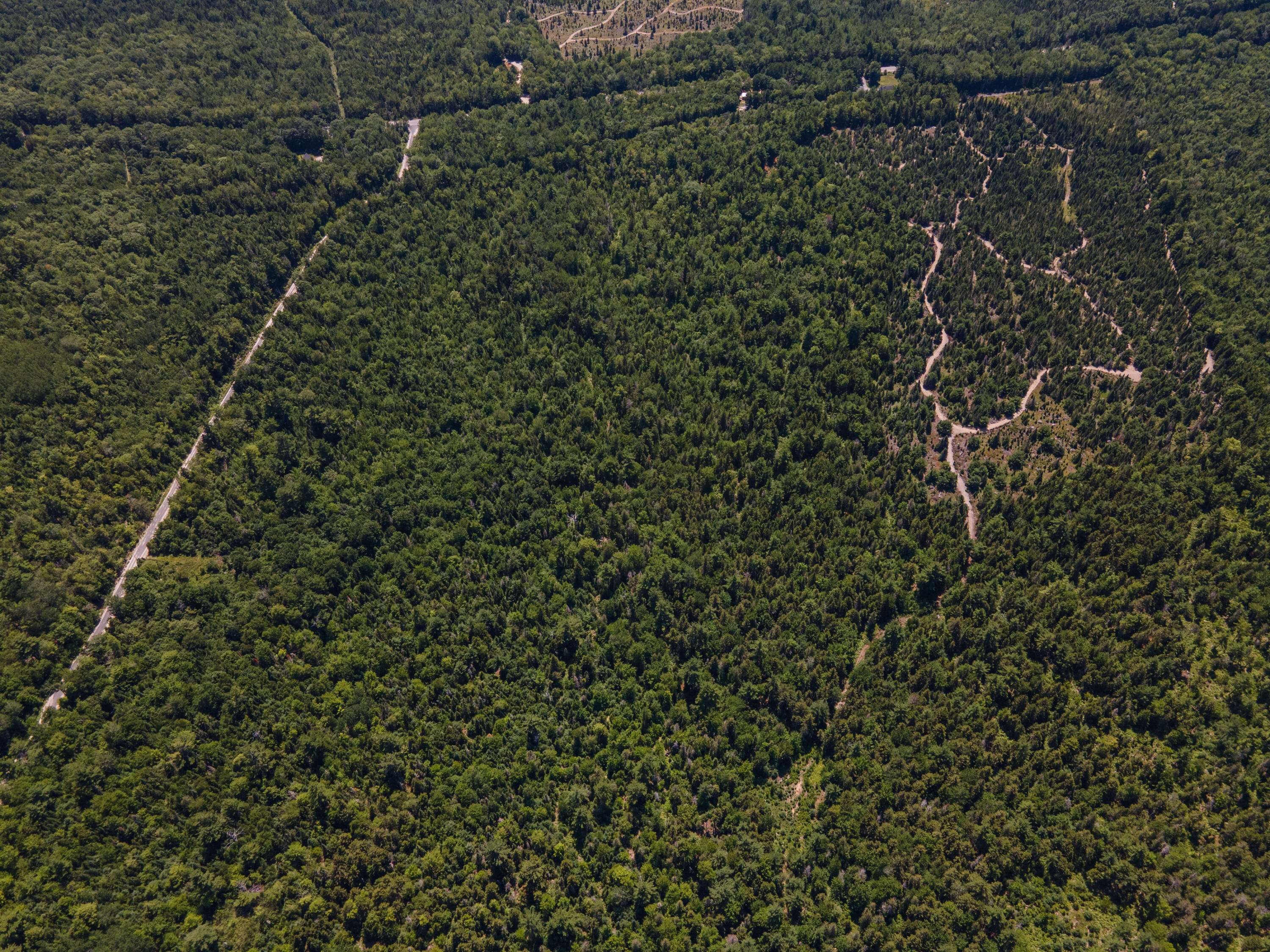 Map10lot27 Blackswoods Road Property Photo 12