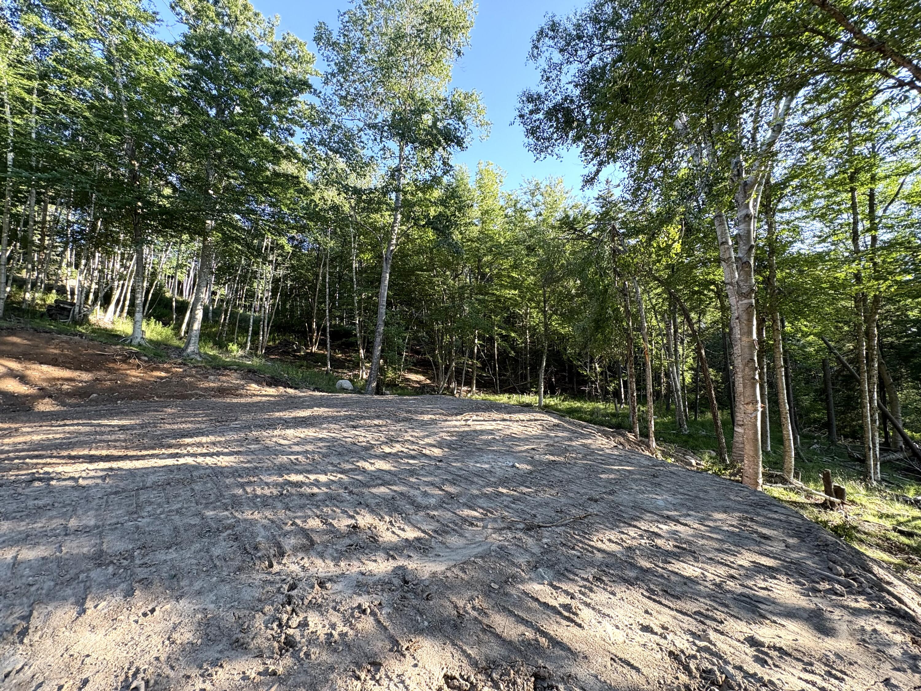 Lot 9-part Rt 190 Road Property Photo 4