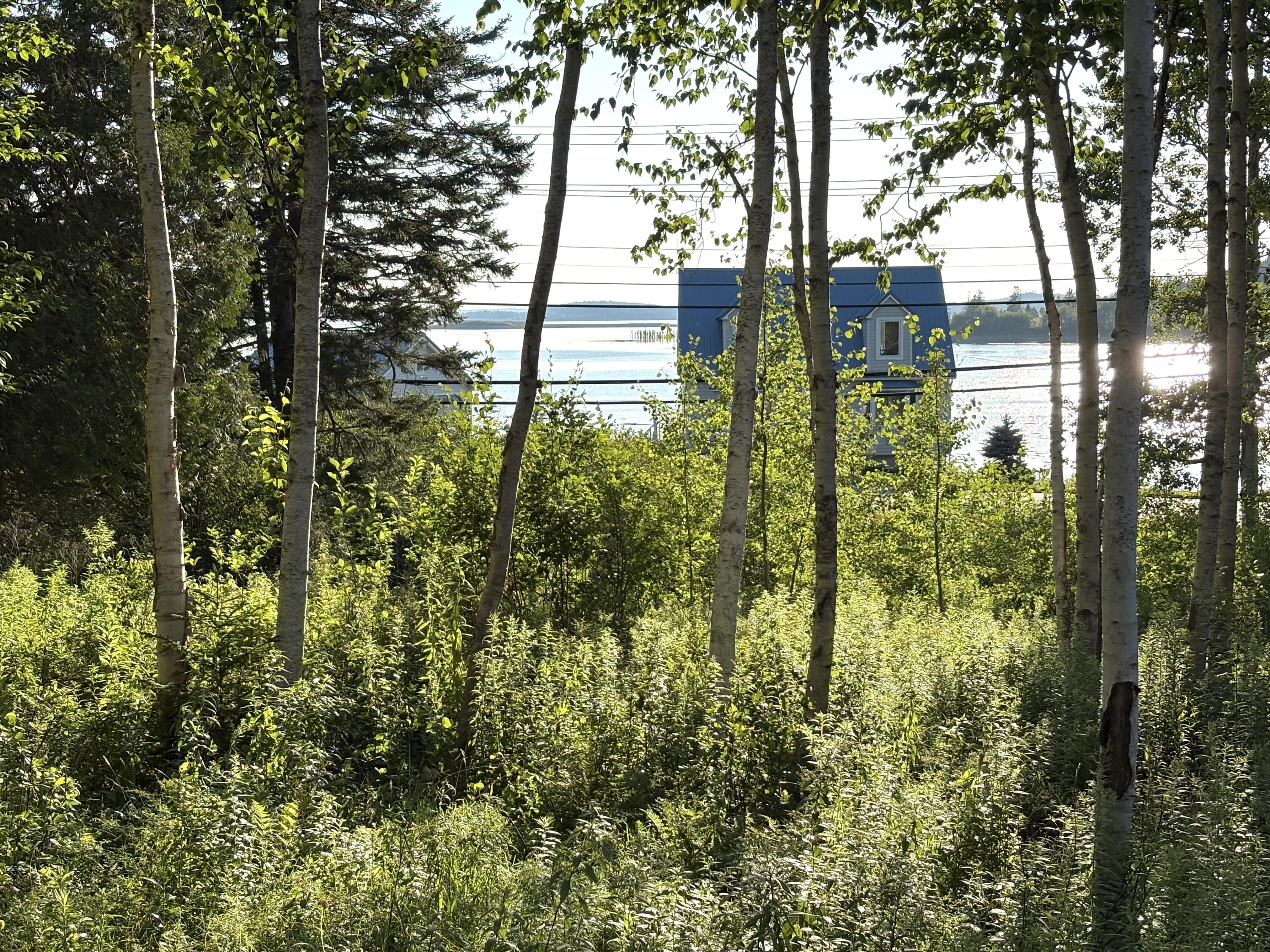 Lot 9-part Rt 190 Road Property Photo 8