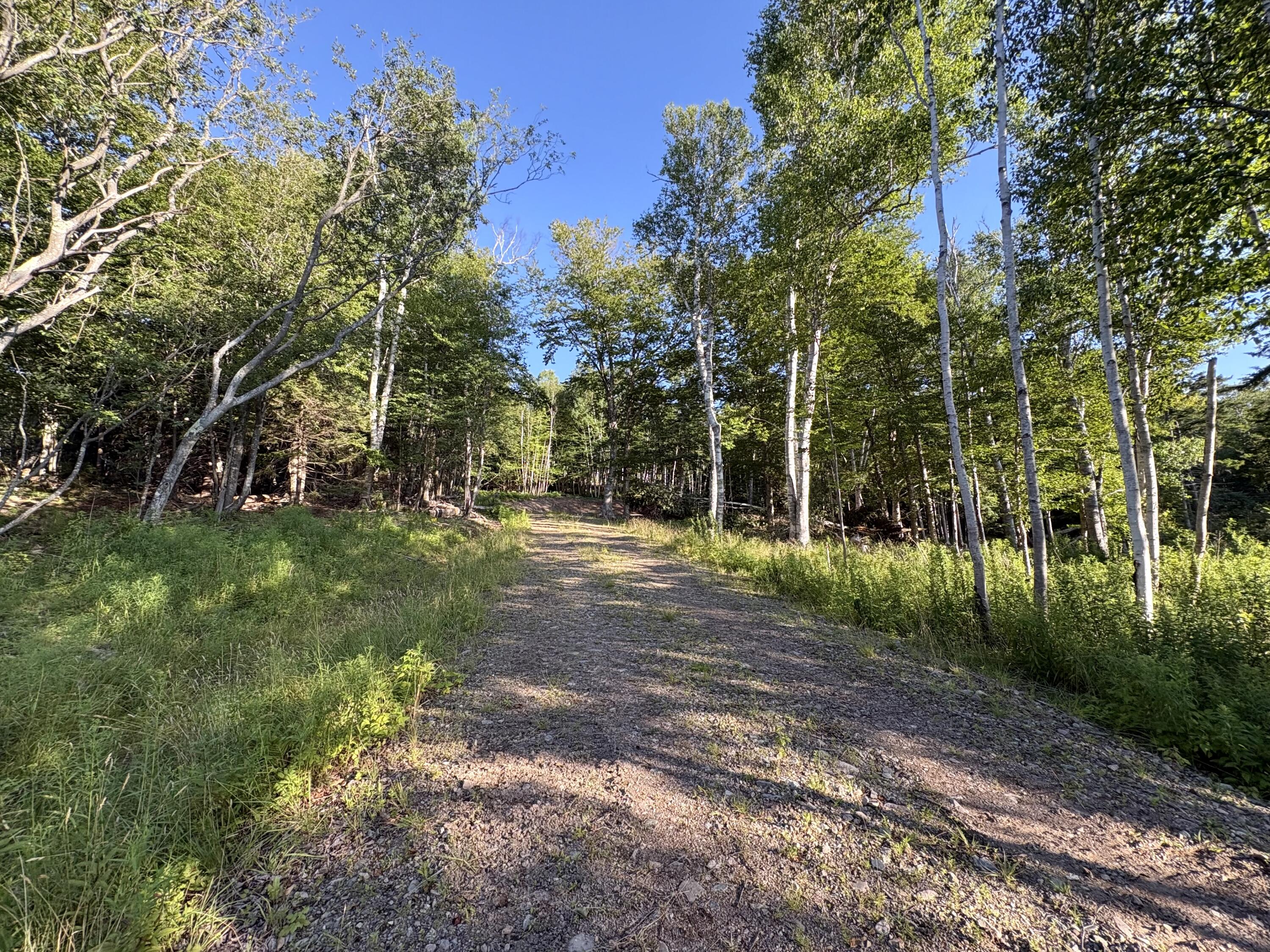 Lot 9-part Rt 190 Road Property Photo 9
