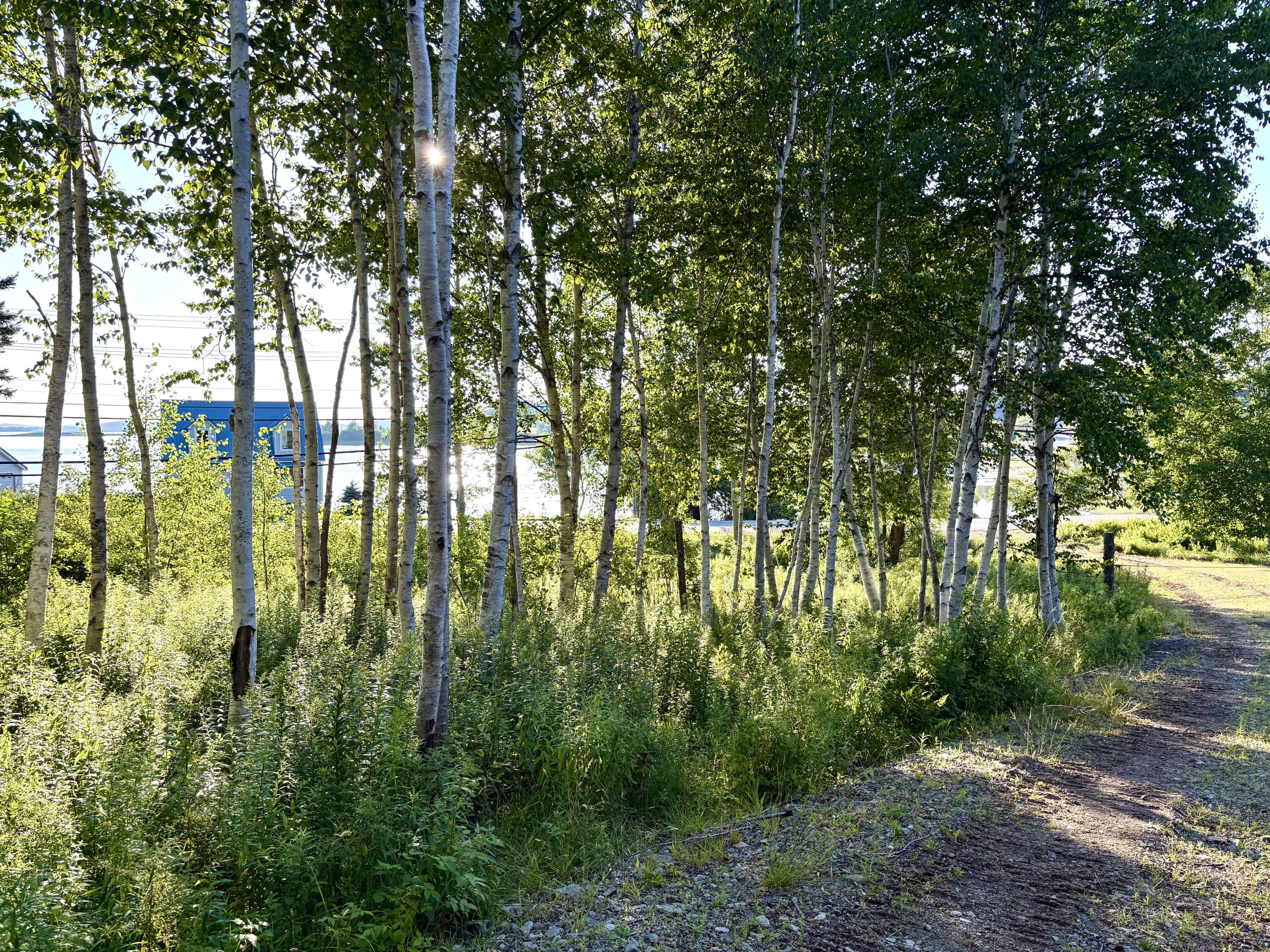 Lot 9-part Rt 190 Road Property Photo 11
