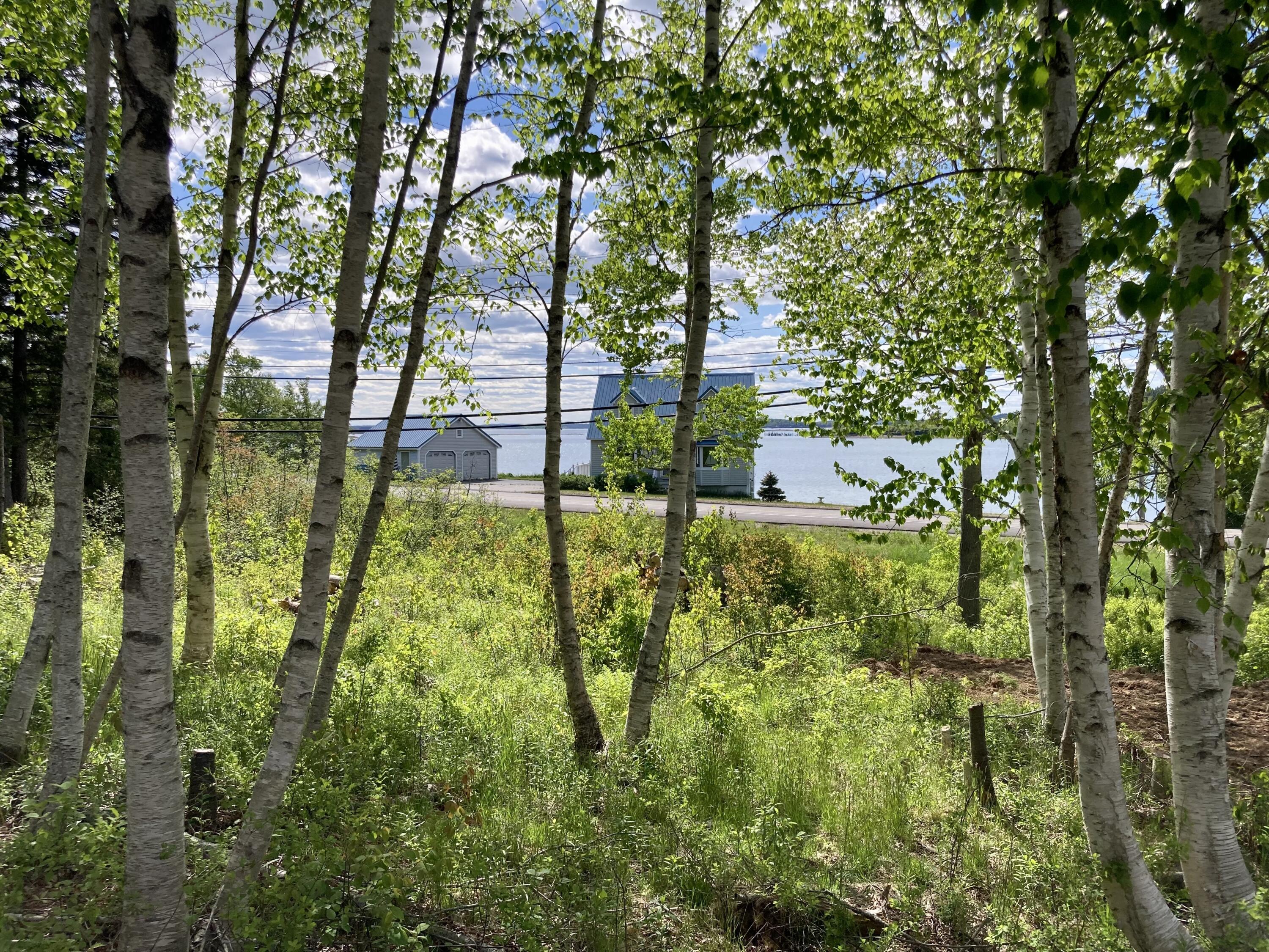 Lot 9-part Rt 190 Road Property Photo 16