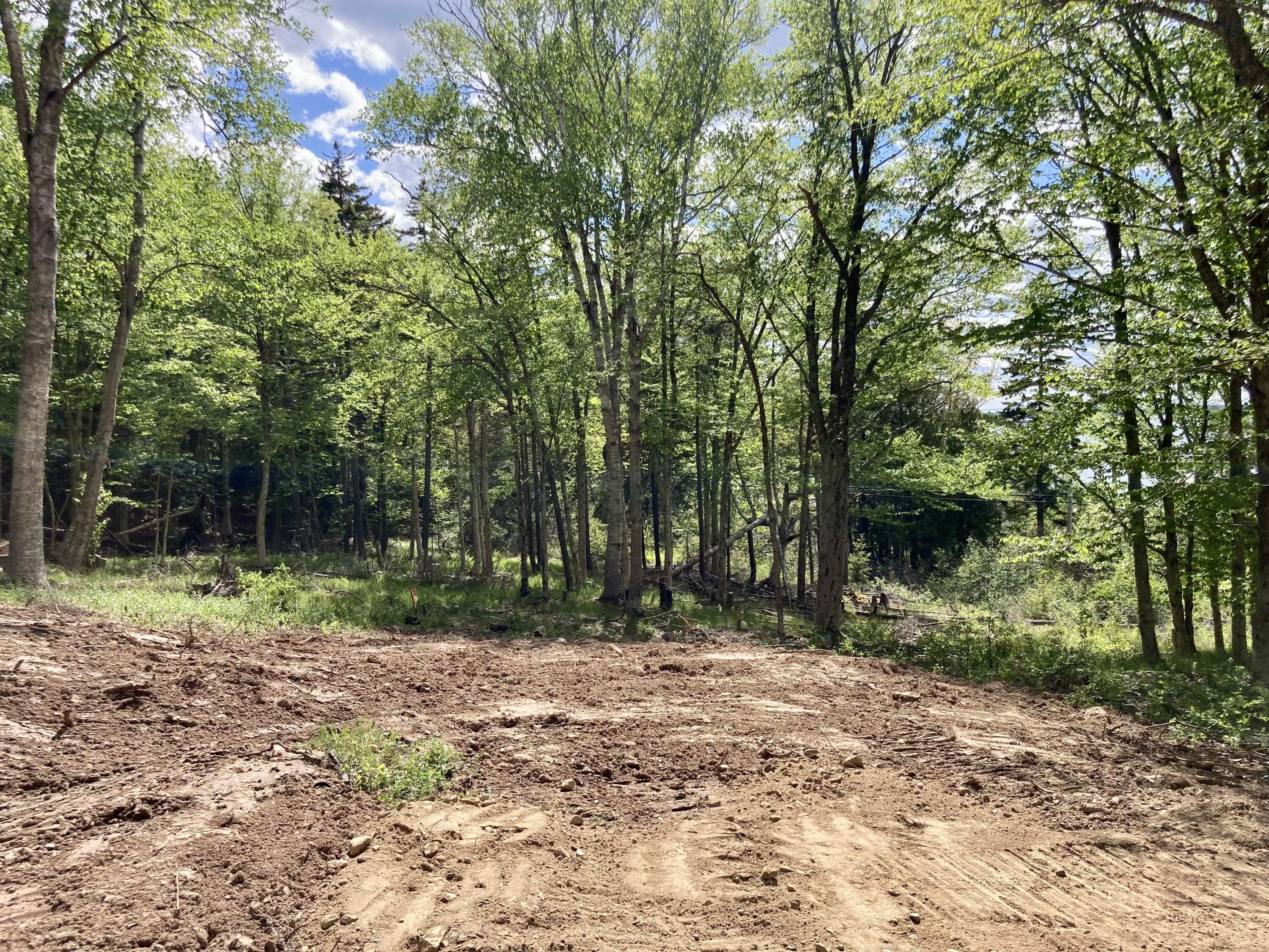 Lot 9-part Rt 190 Road Property Photo 17