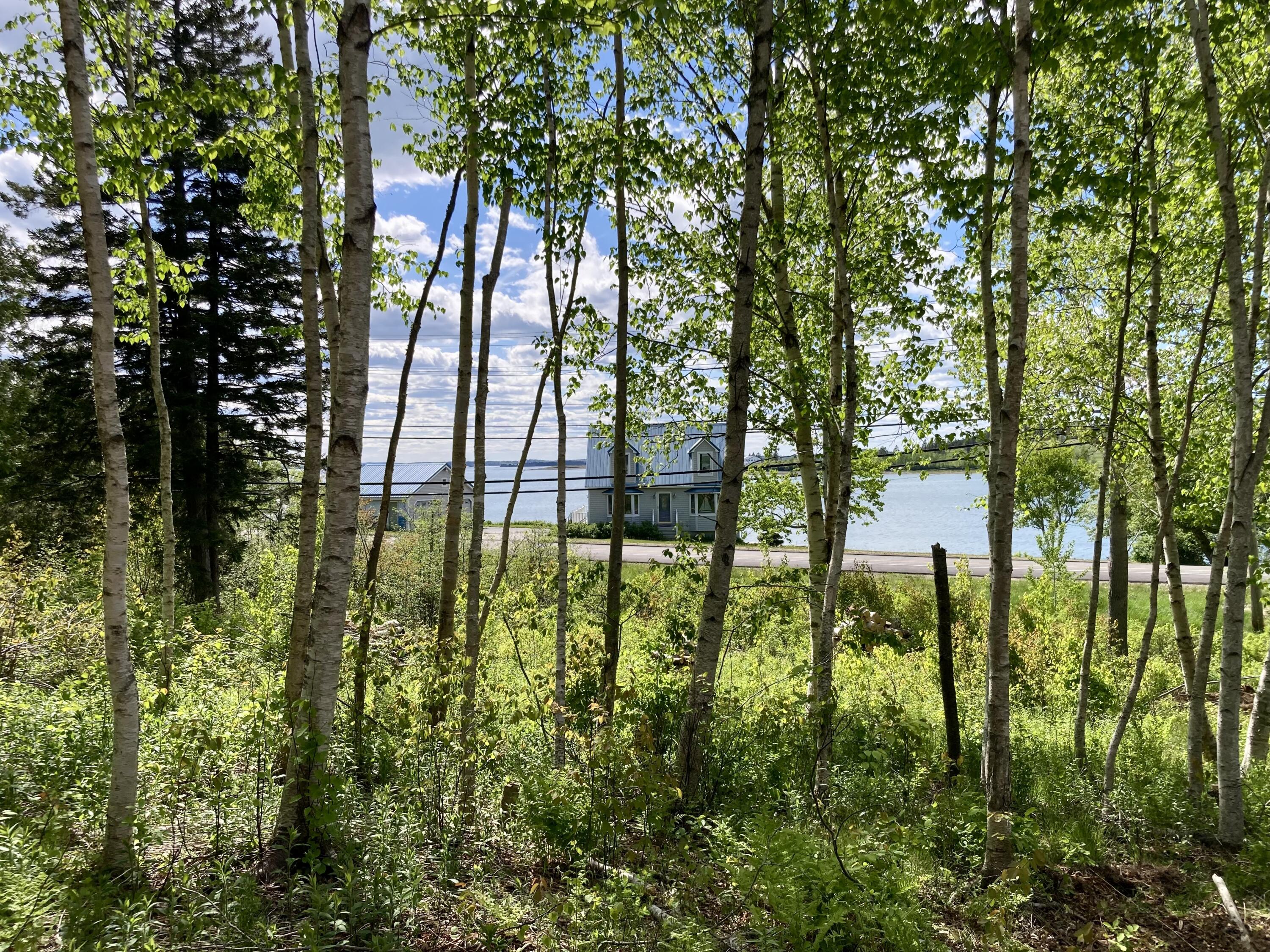Lot 9-part Rt 190 Road Property Photo 21