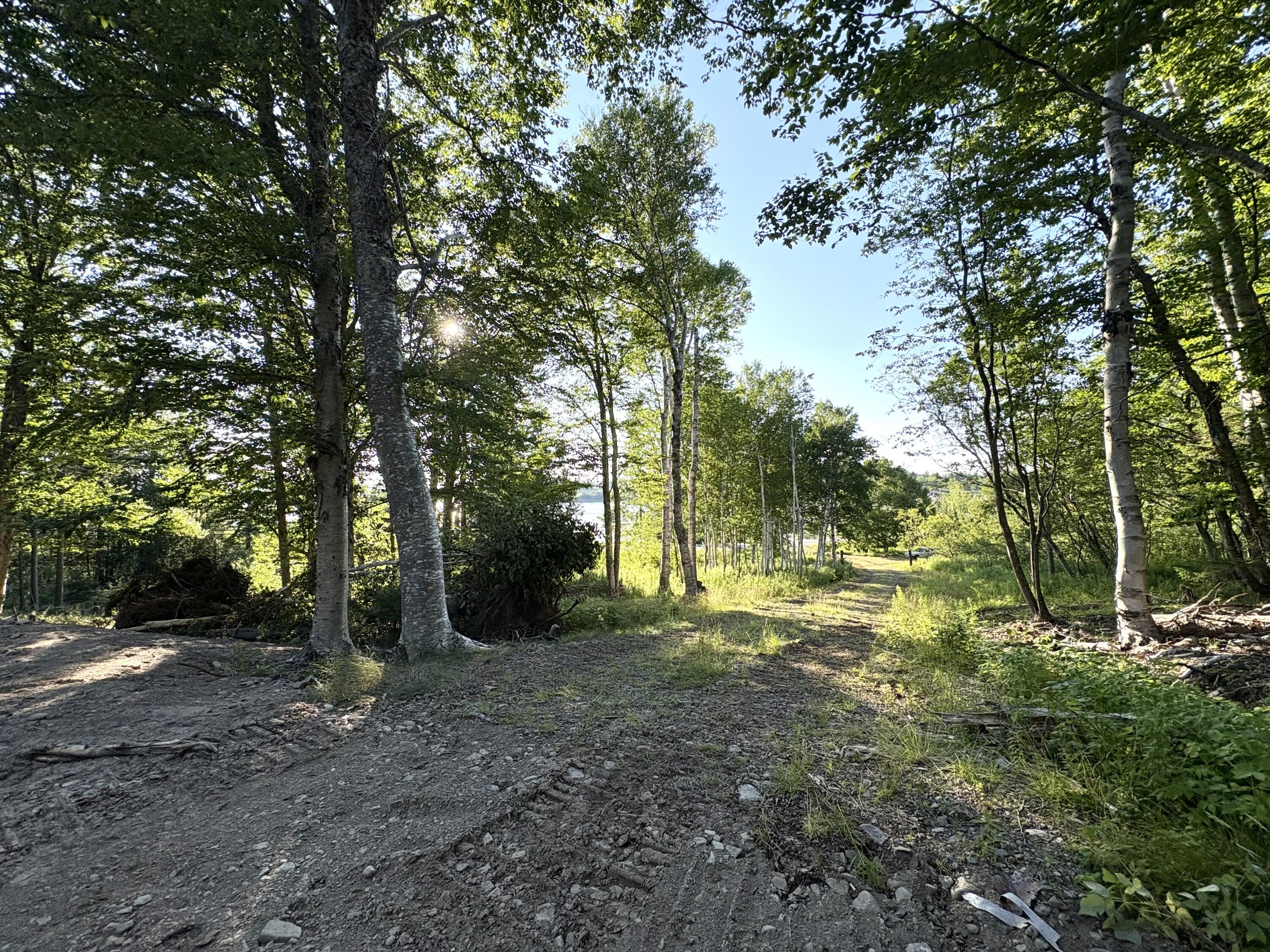 Lot 9-part Rt 190 Road Property Photo 23