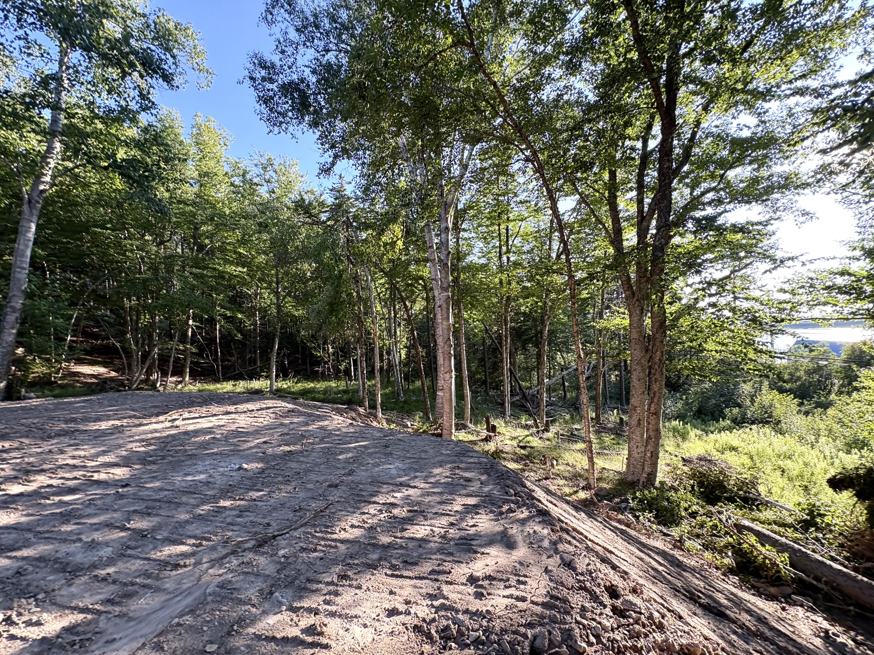 Lot 9-part Rt 190 Road Property Photo 24