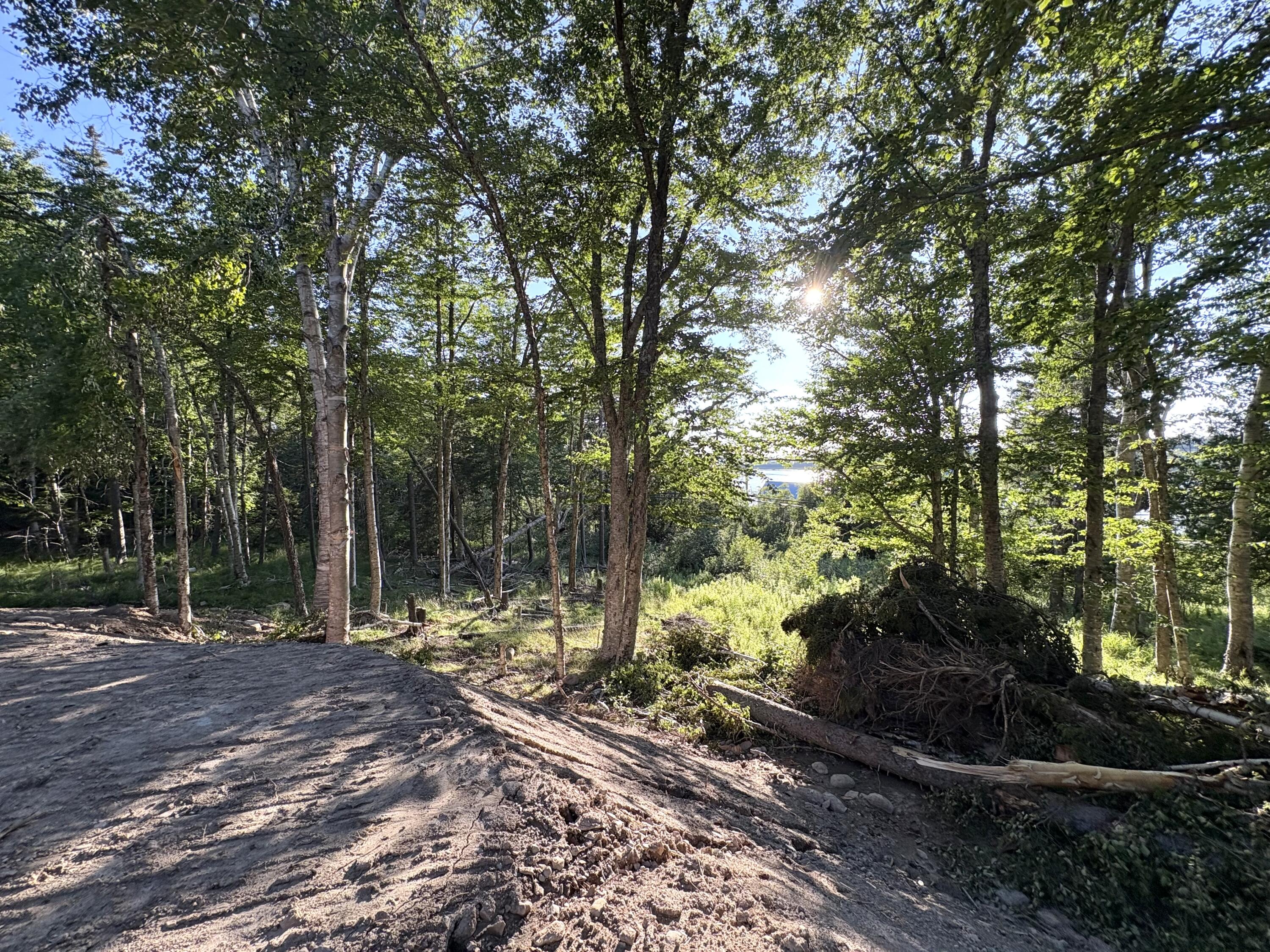 Lot 9-part Rt 190 Road Property Photo 25