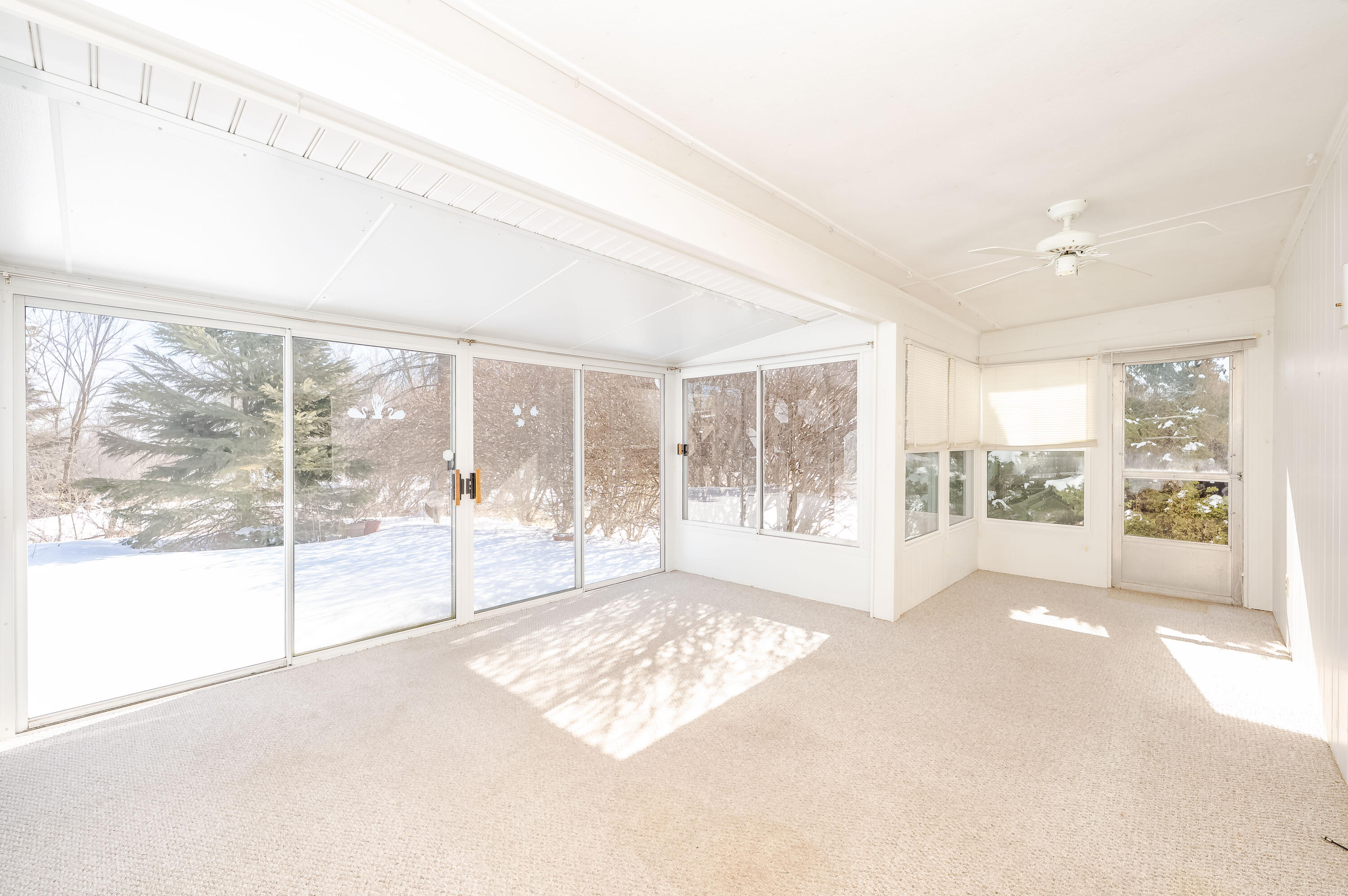 12 Marial Avenue Property Photo 45