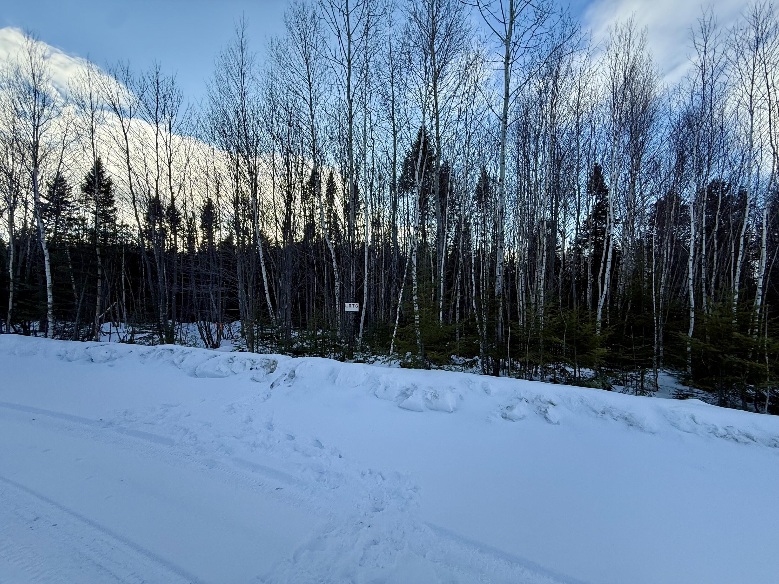 Lot #6 Greenville Steam Road Property Photo 2