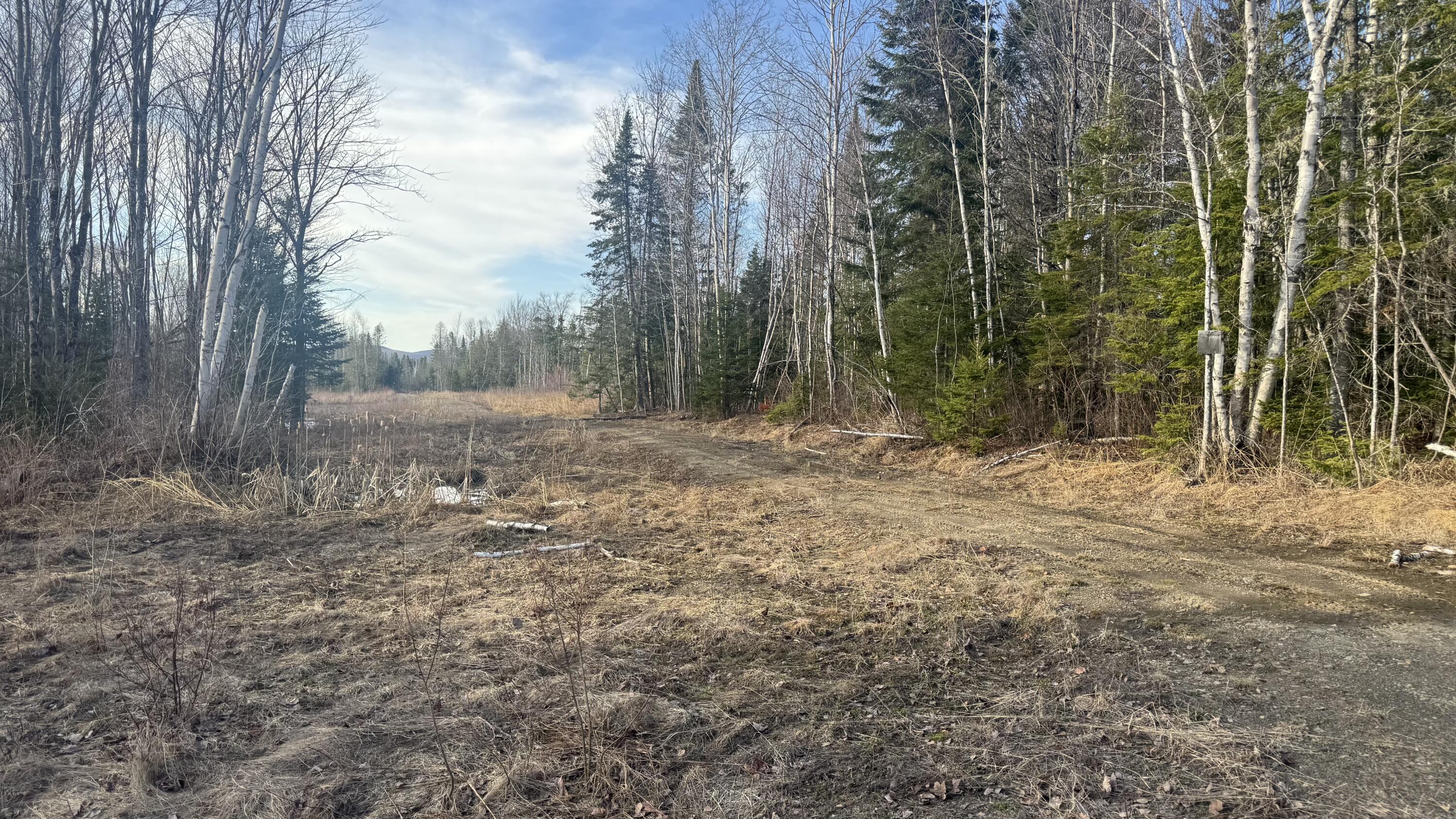 M2l51 Quimby Road Property Photo 11