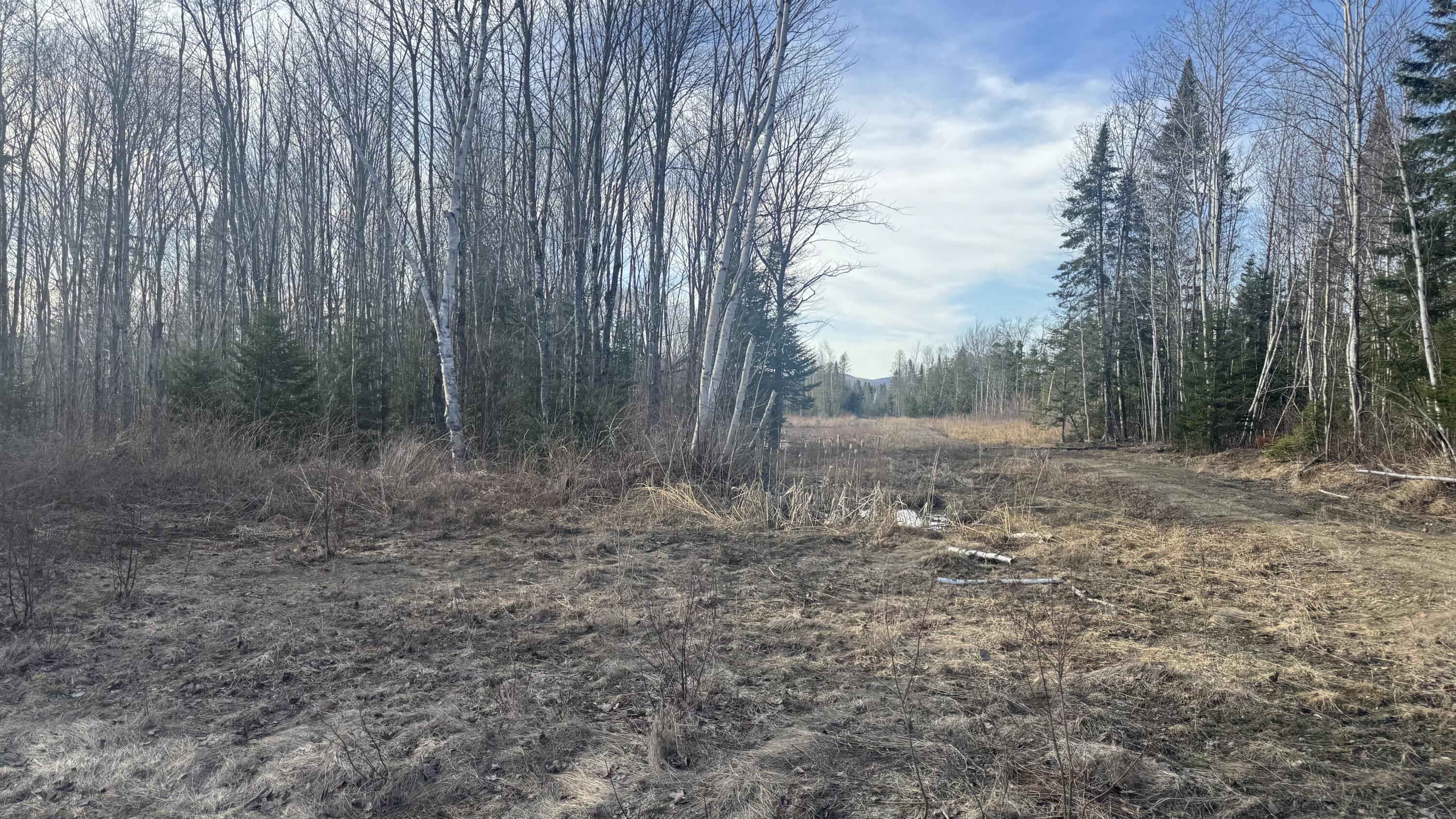 M2l51 Quimby Road Property Photo 12
