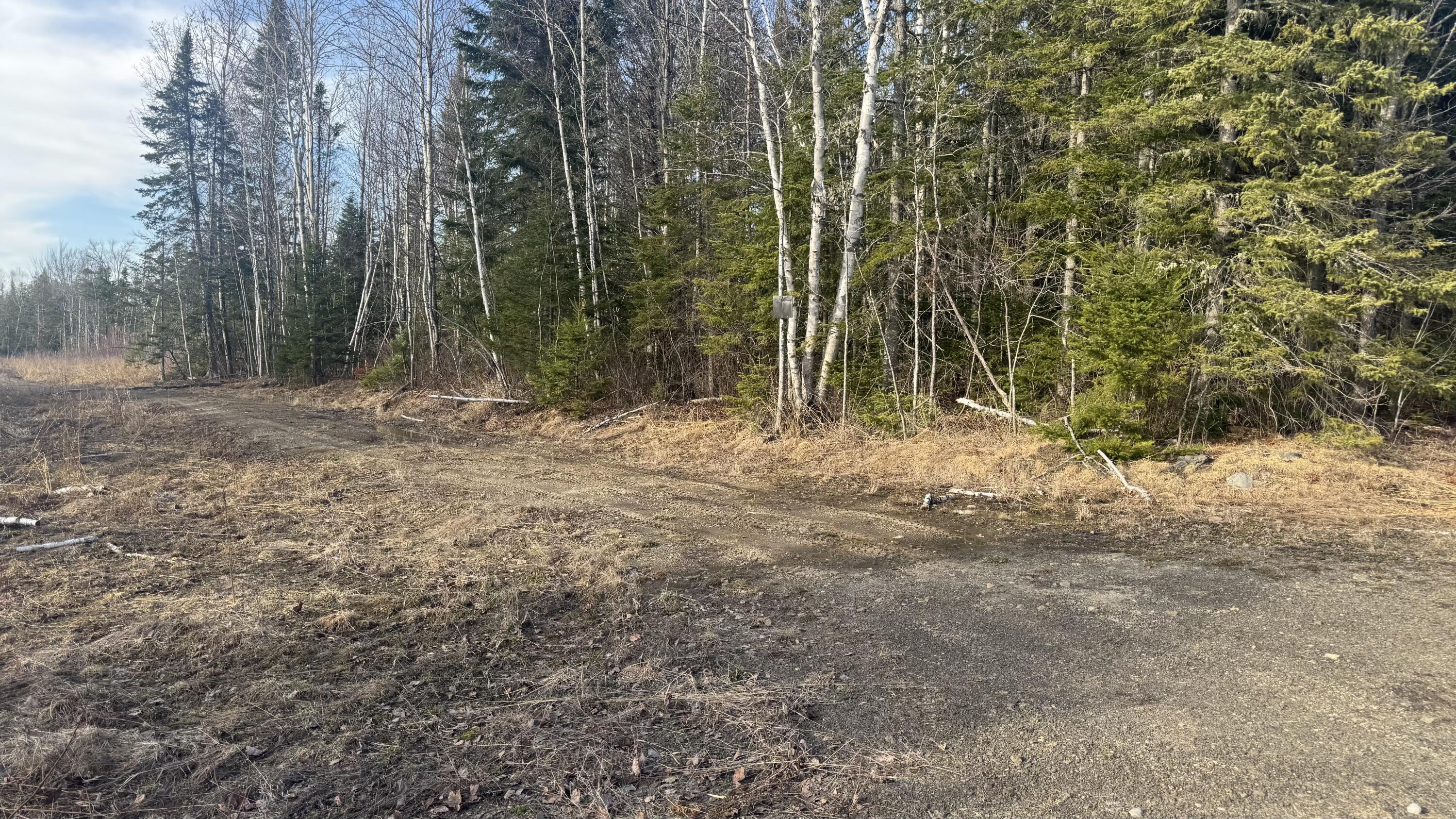 M2l51 Quimby Road Property Photo 13
