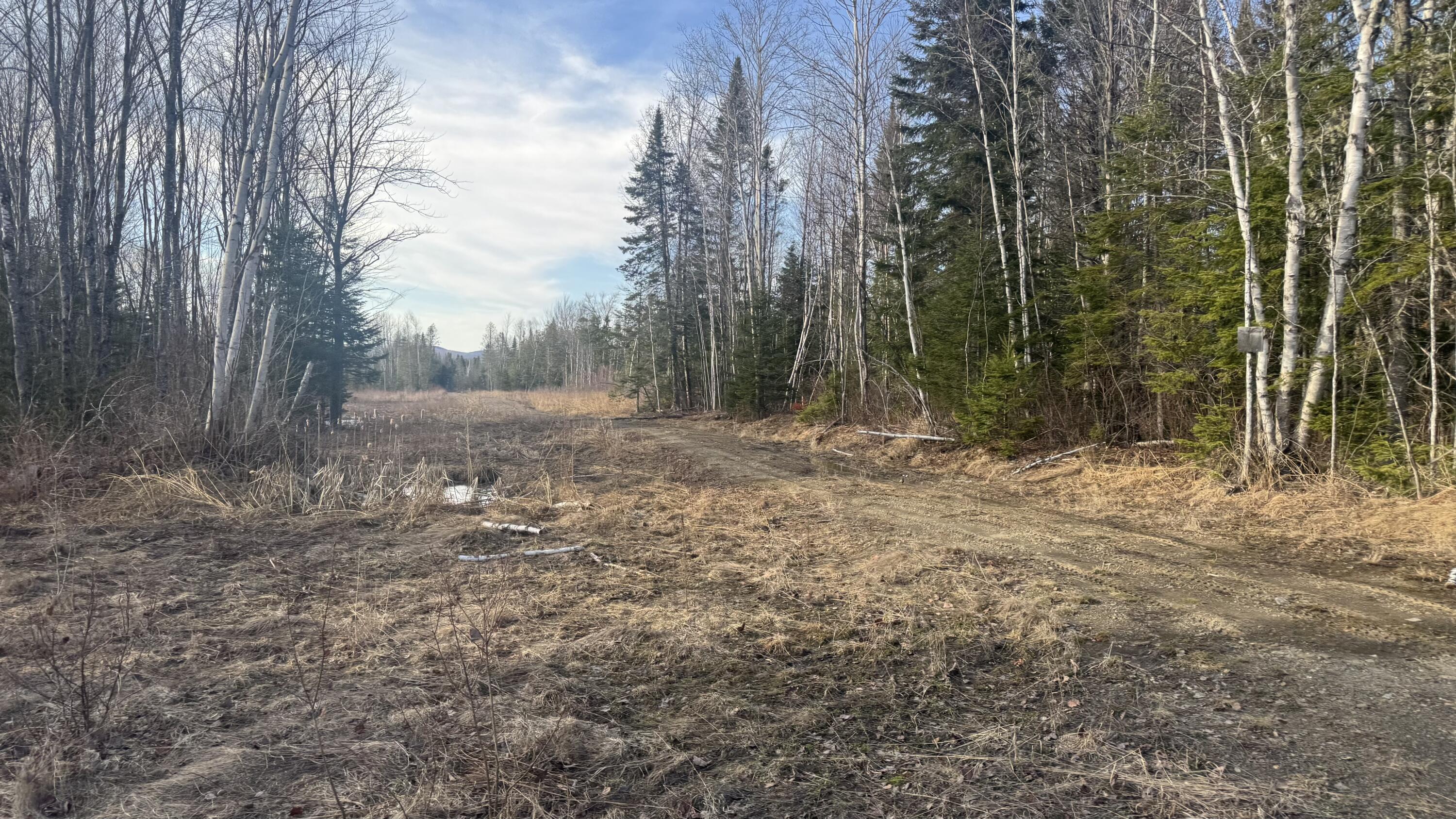 M2l51 Quimby Road Property Photo 14
