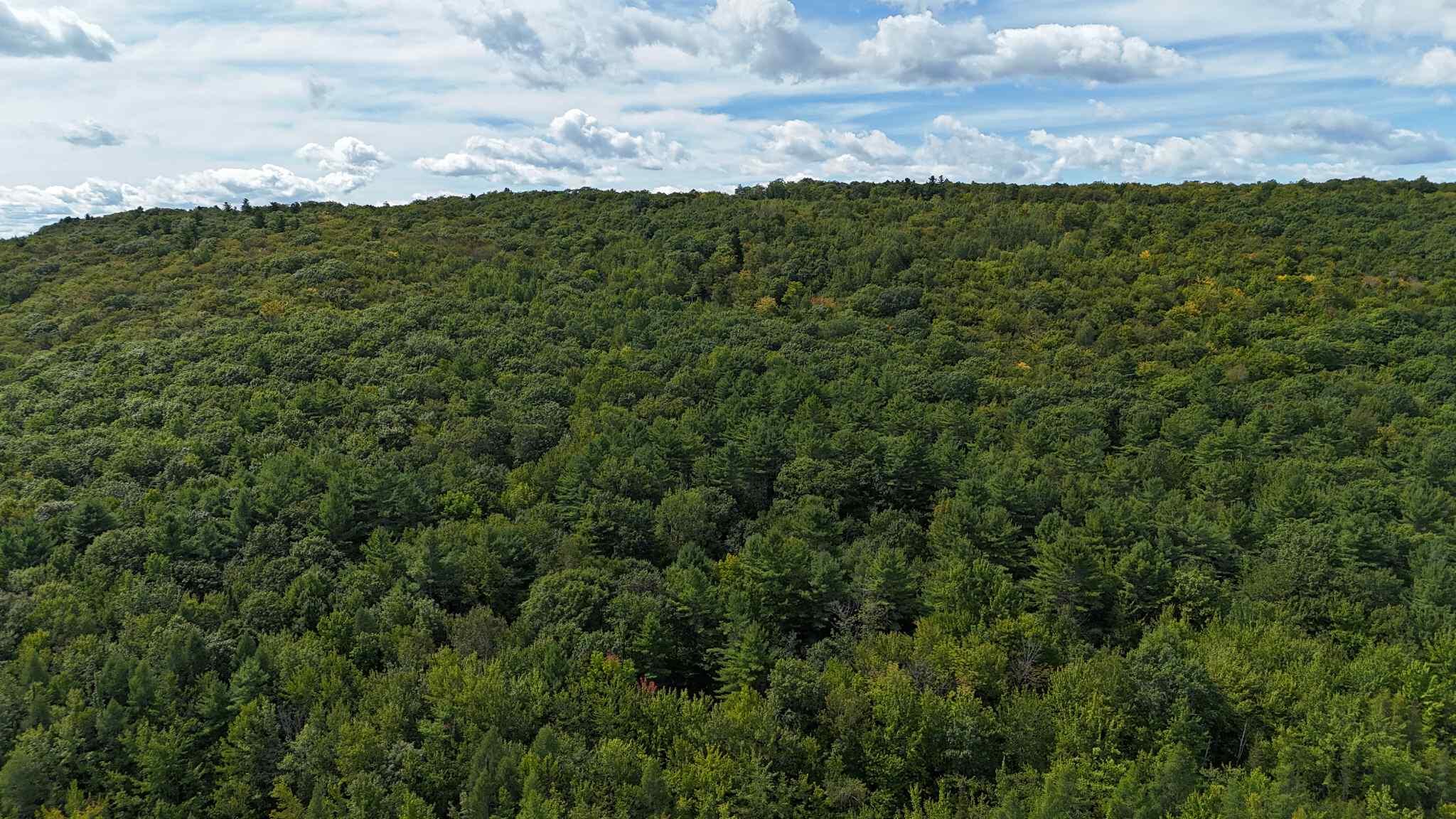Lot 8 Bakerstown Road Property Photo 10