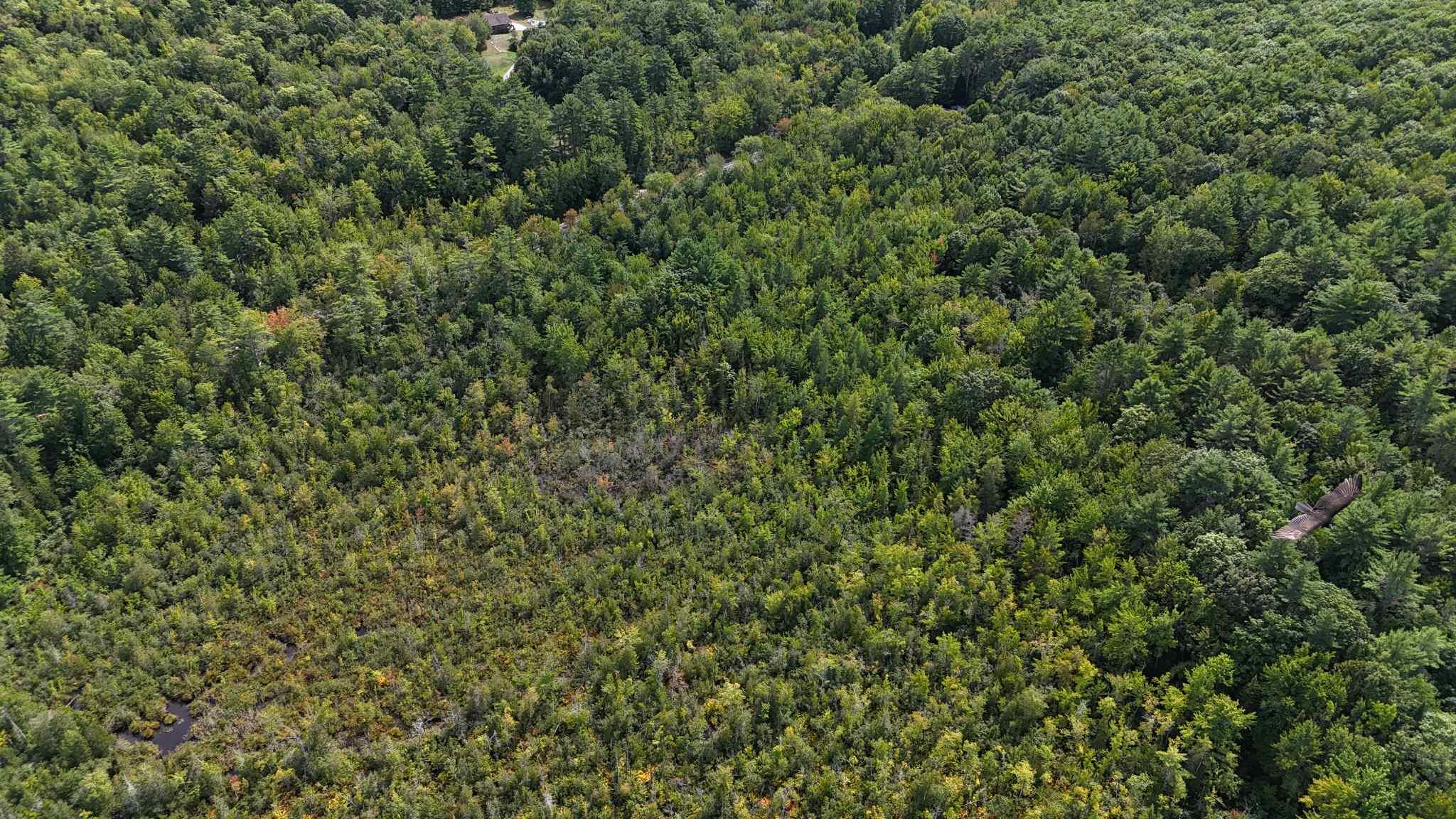 Lot 8 Bakerstown Road Property Photo 11