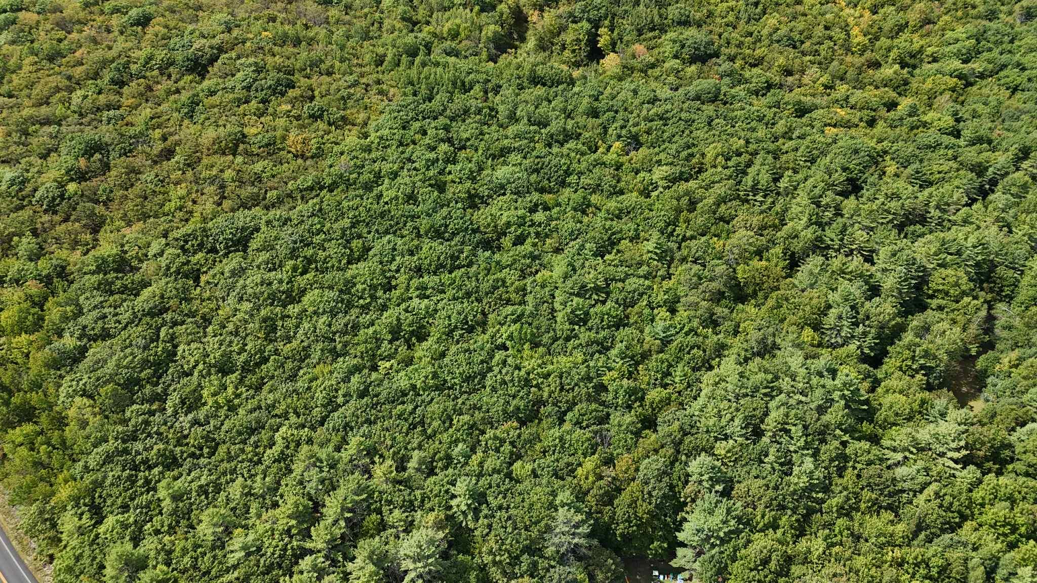 Lot 8 Bakerstown Road Property Photo 13