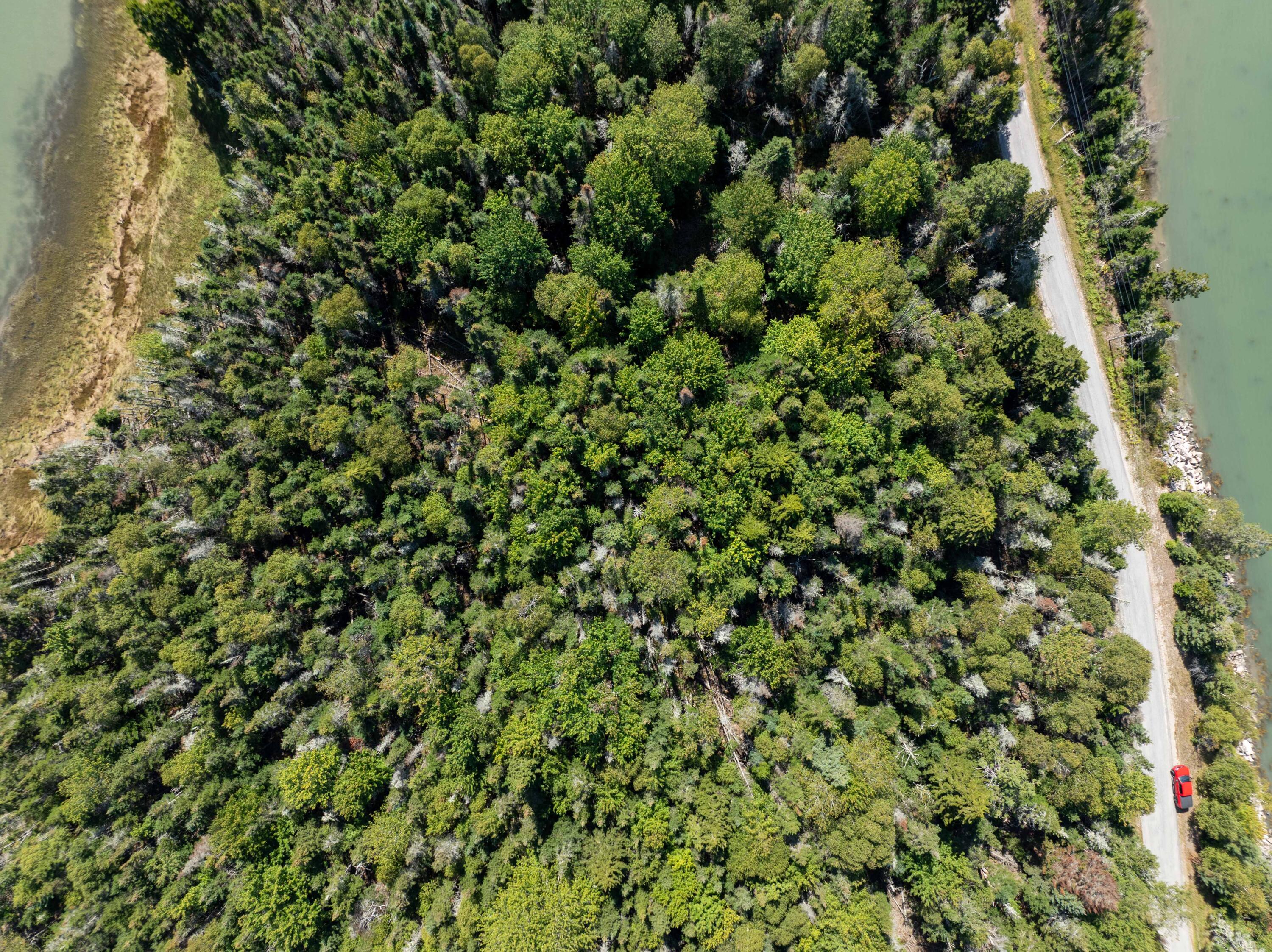 Lot 1 & 5 Evergreen Point Road Property Photo 19
