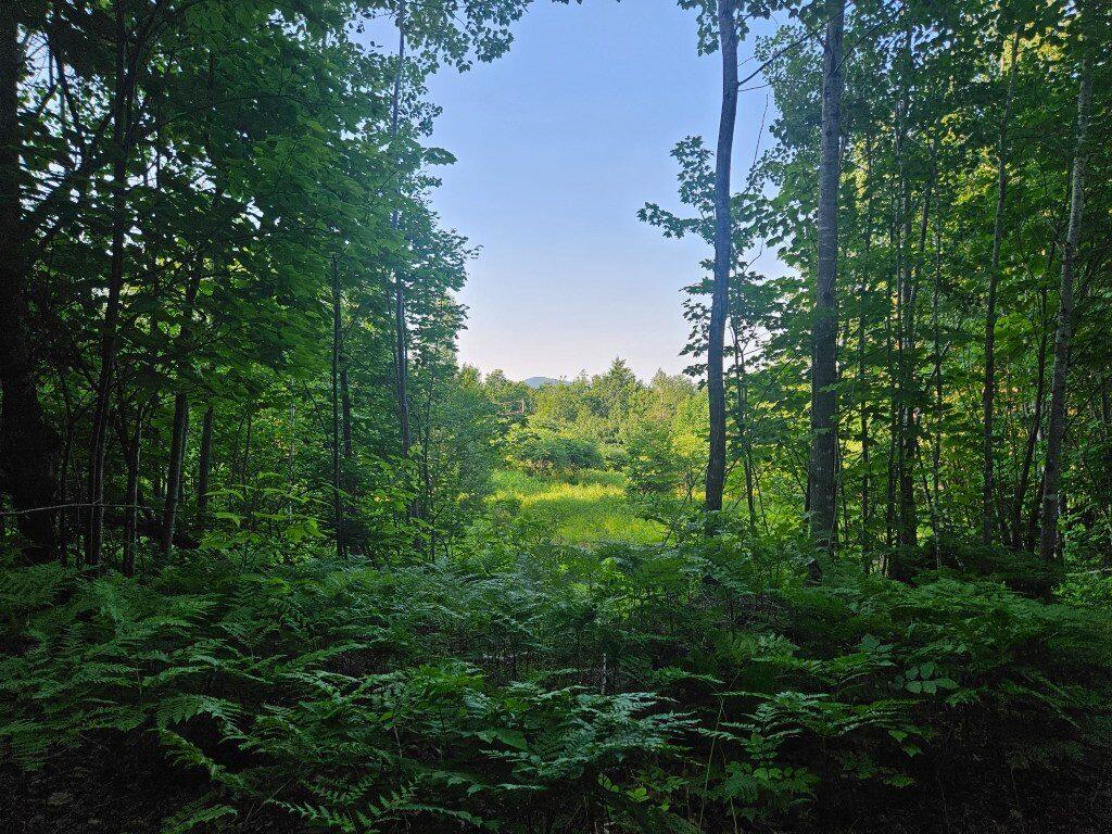 2 W Mountain View Estates West Drive Property Photo 9