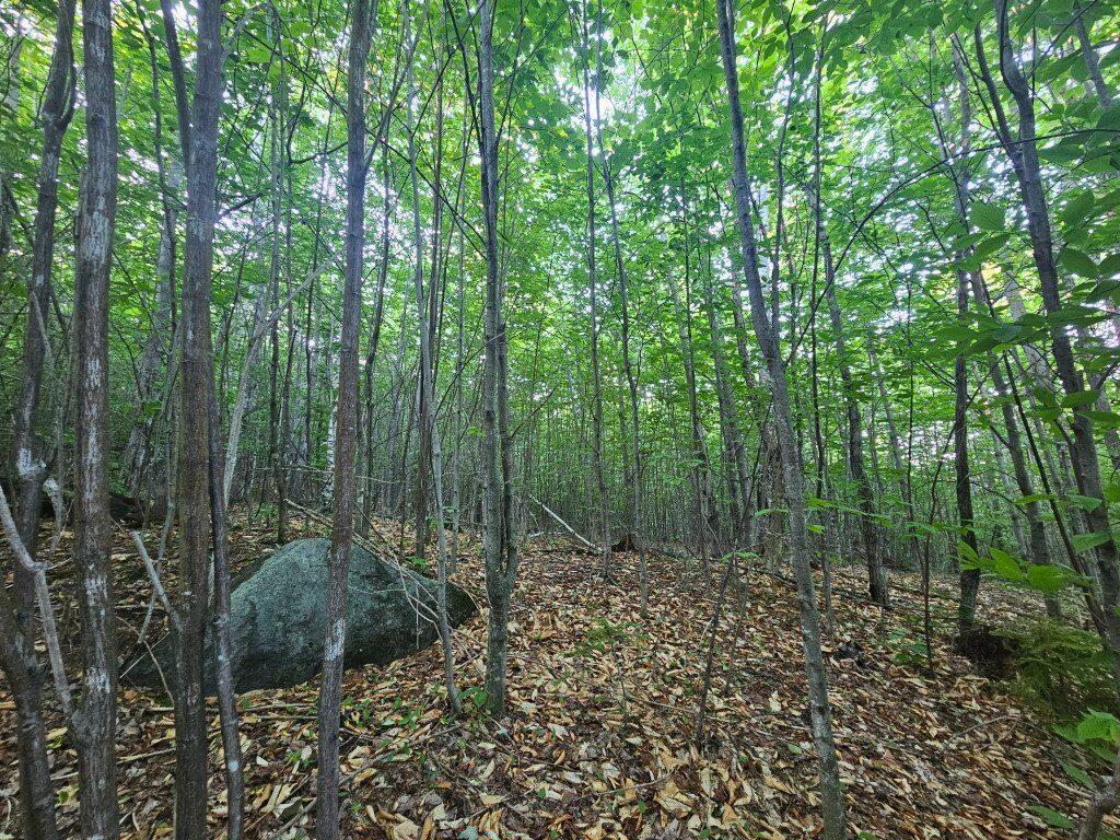 2 W Mountain View Estates West Drive Property Photo 12