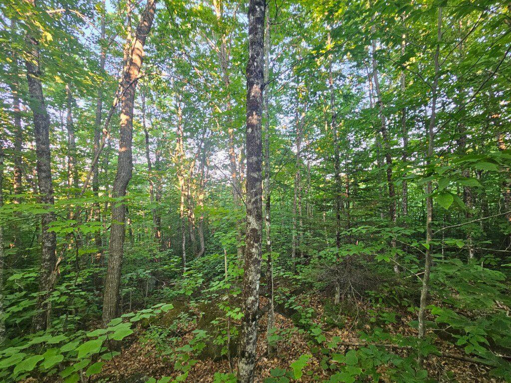 2 W Mountain View Estates West Drive Property Photo 16