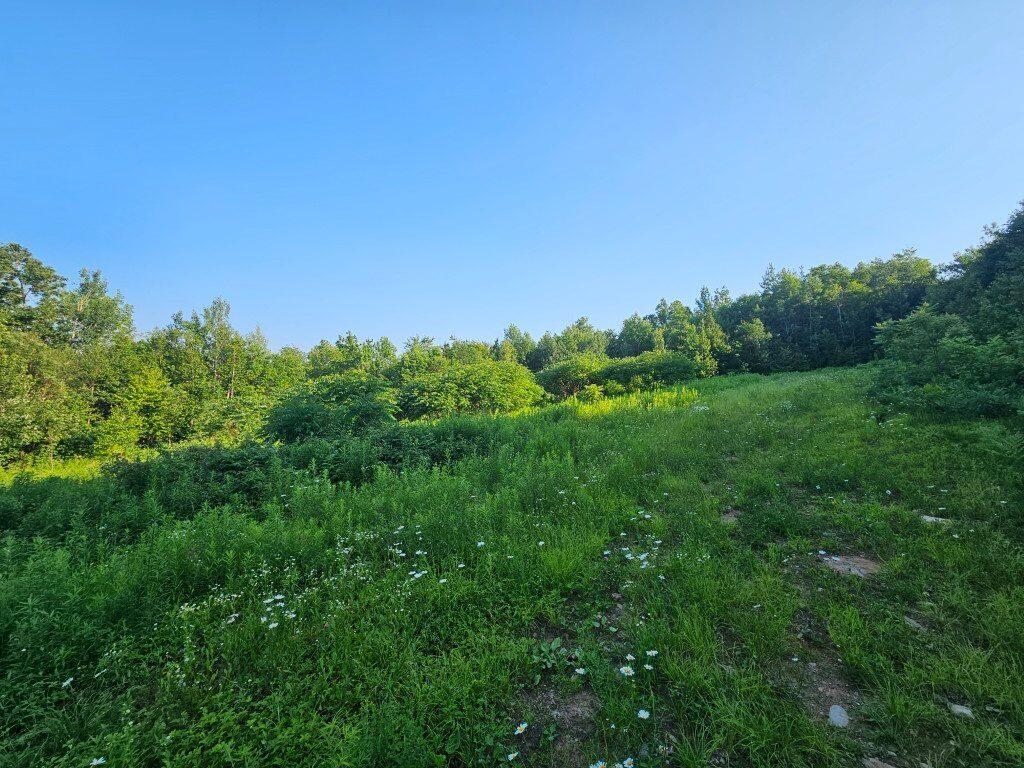 2 W Mountain View Estates West Drive Property Photo 27