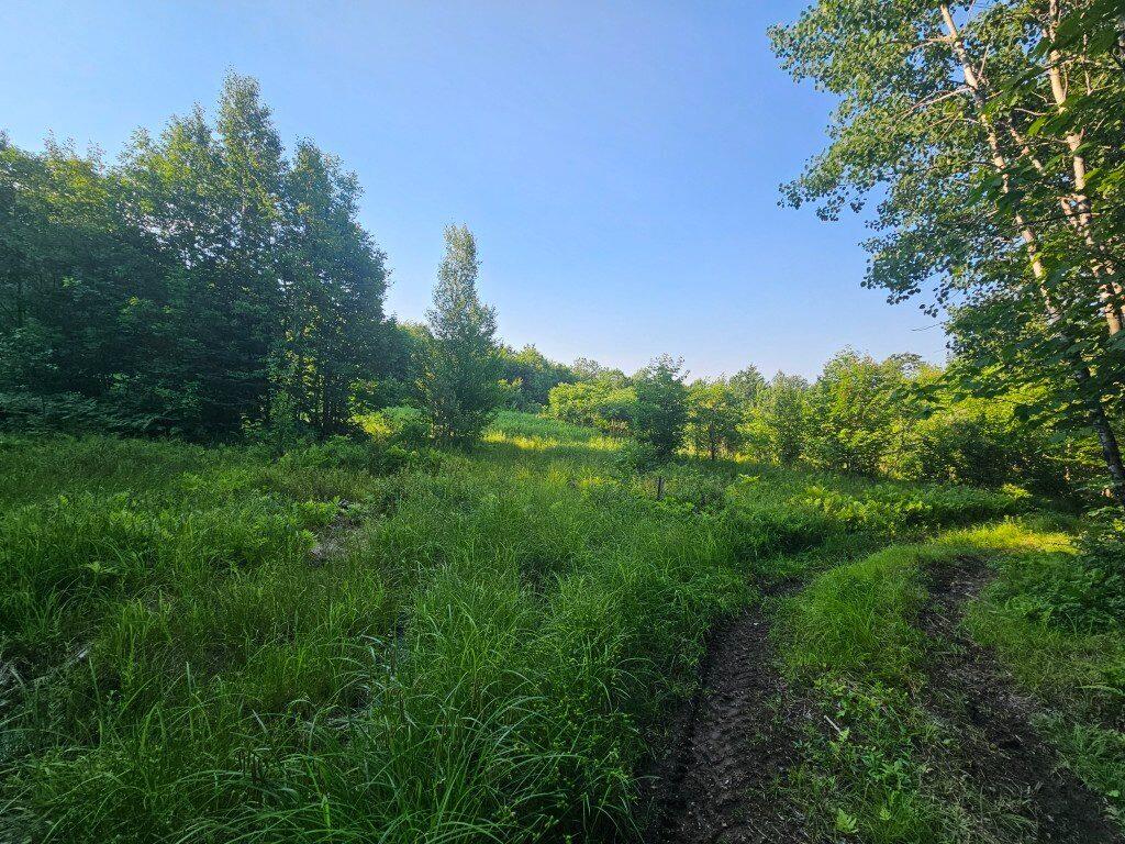 2 W Mountain View Estates West Drive Property Photo 28