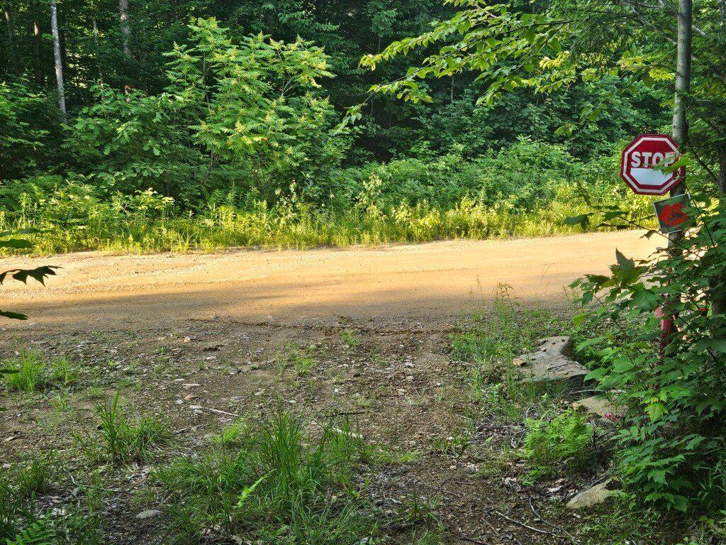2 W Mountain View Estates West Drive Property Photo 37
