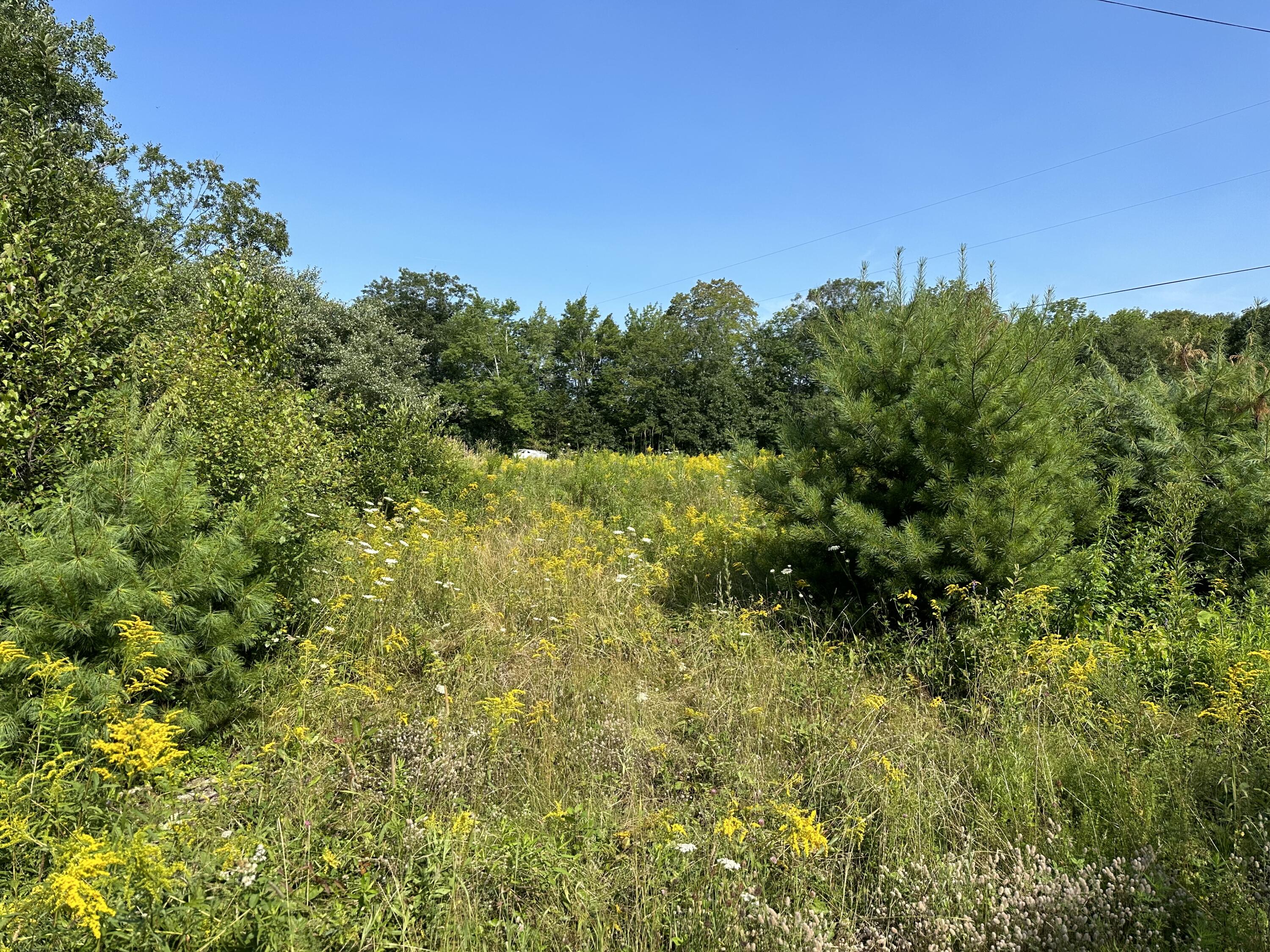 1 Bowling Green Lane Property Photo 2