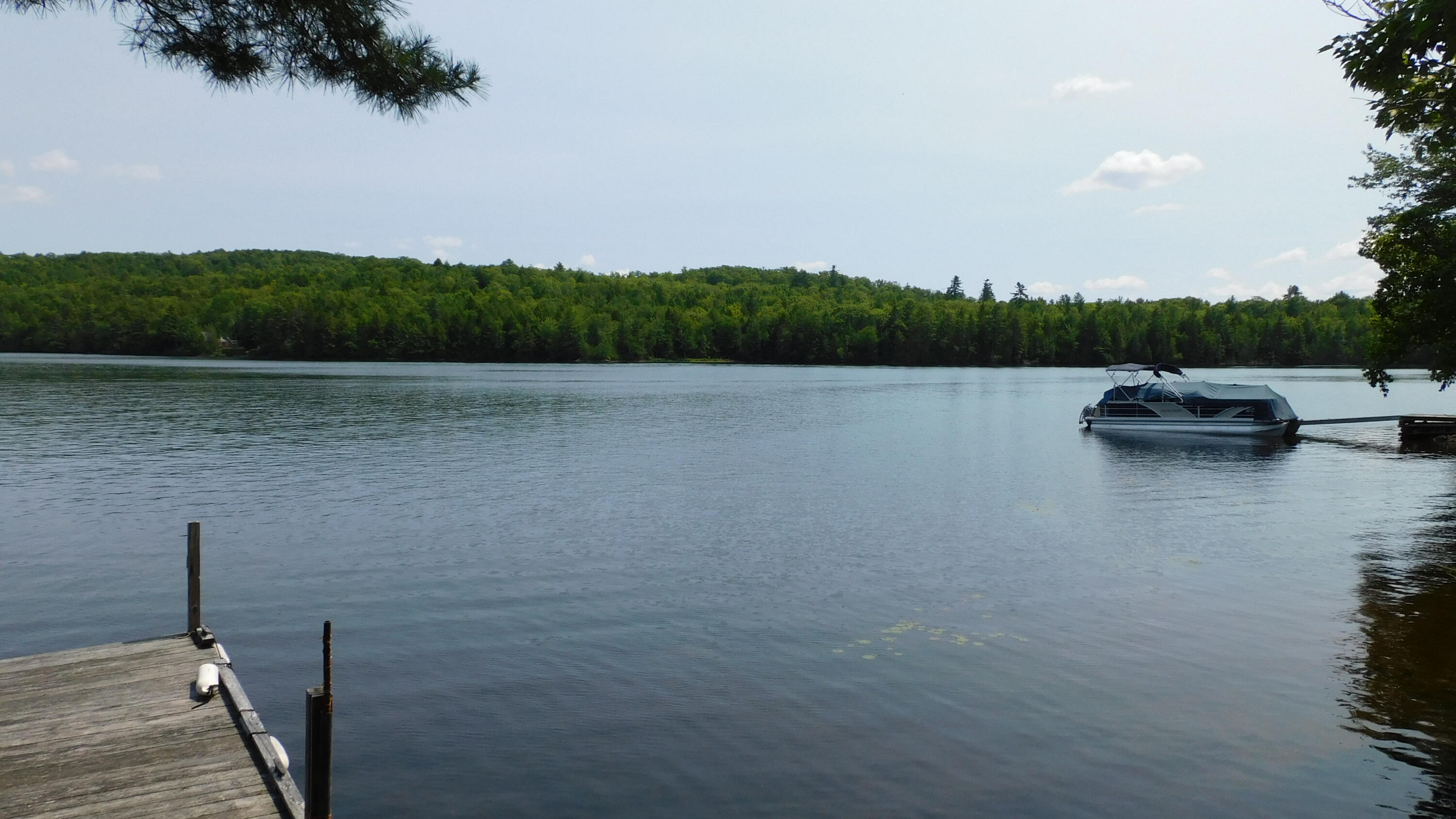 180 Bear Cove Road Property Photo 9