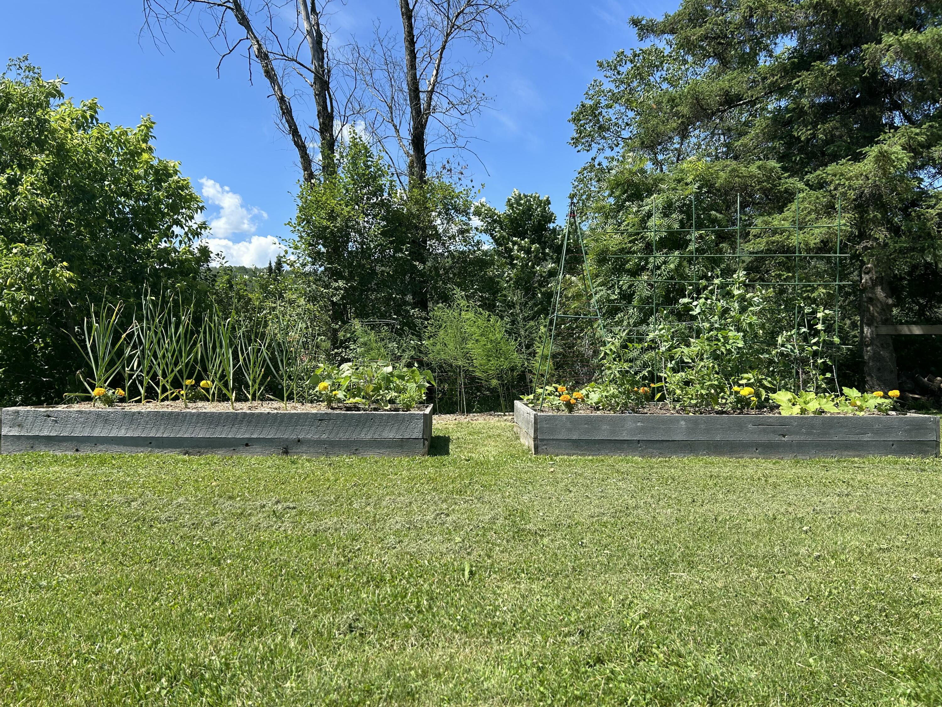 305 Market Street Property Photo 51