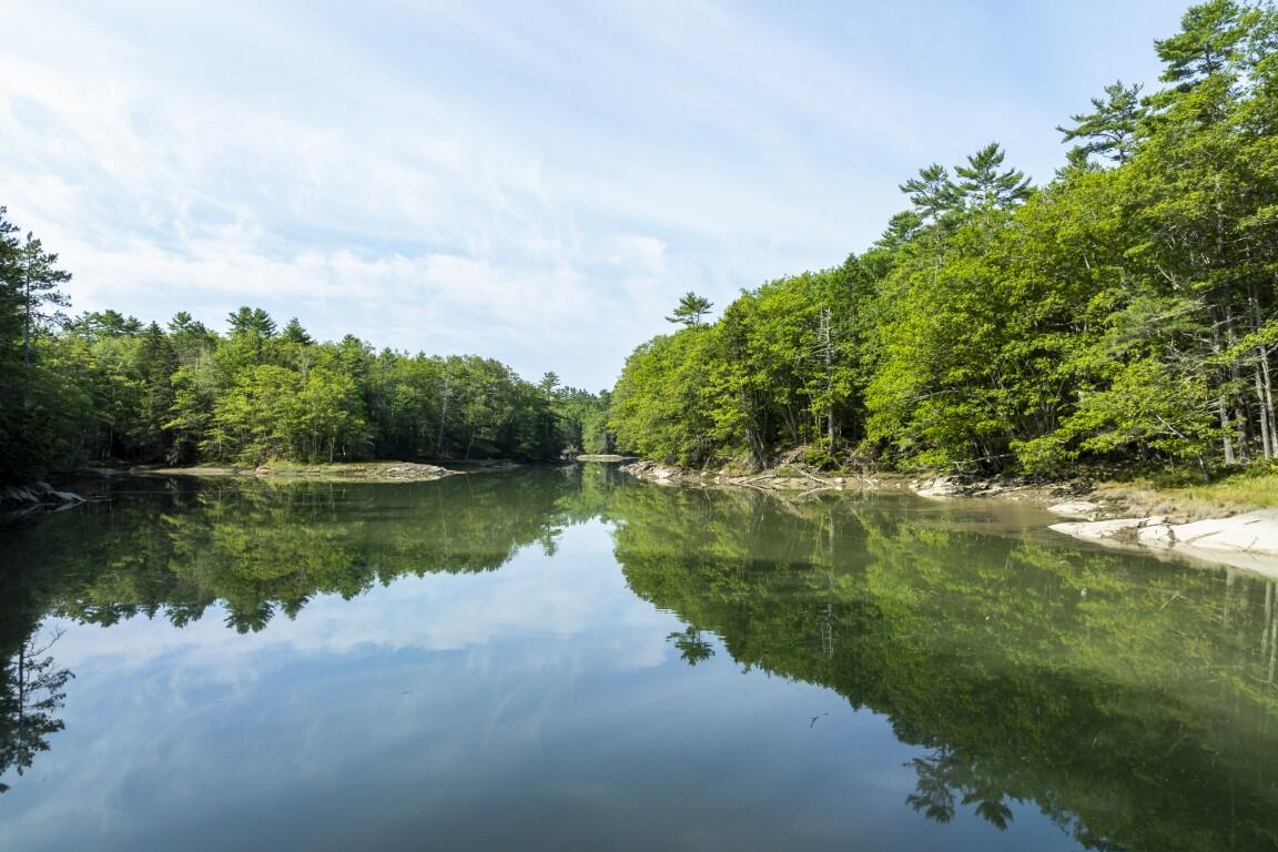 29 Wiscasset Road Property Photo 6
