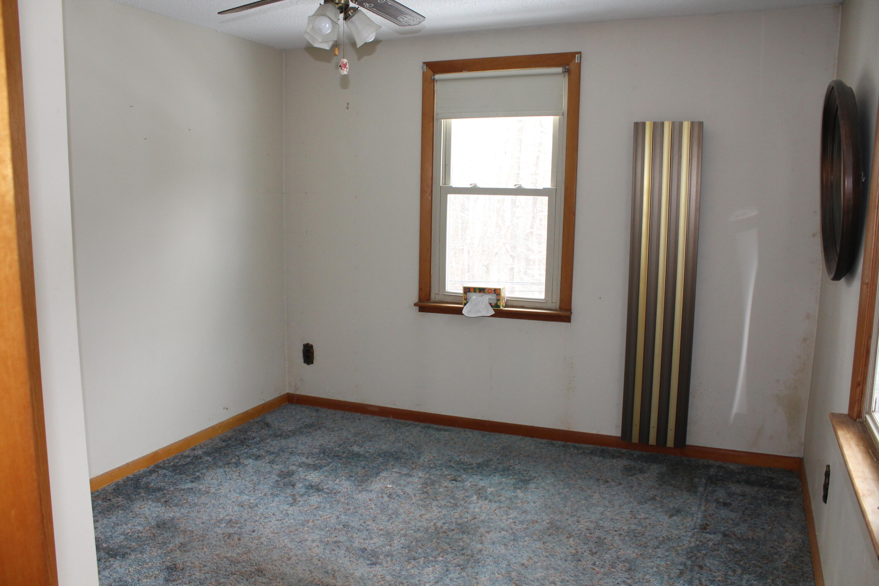 96 Mineral Spring Road Property Photo 50