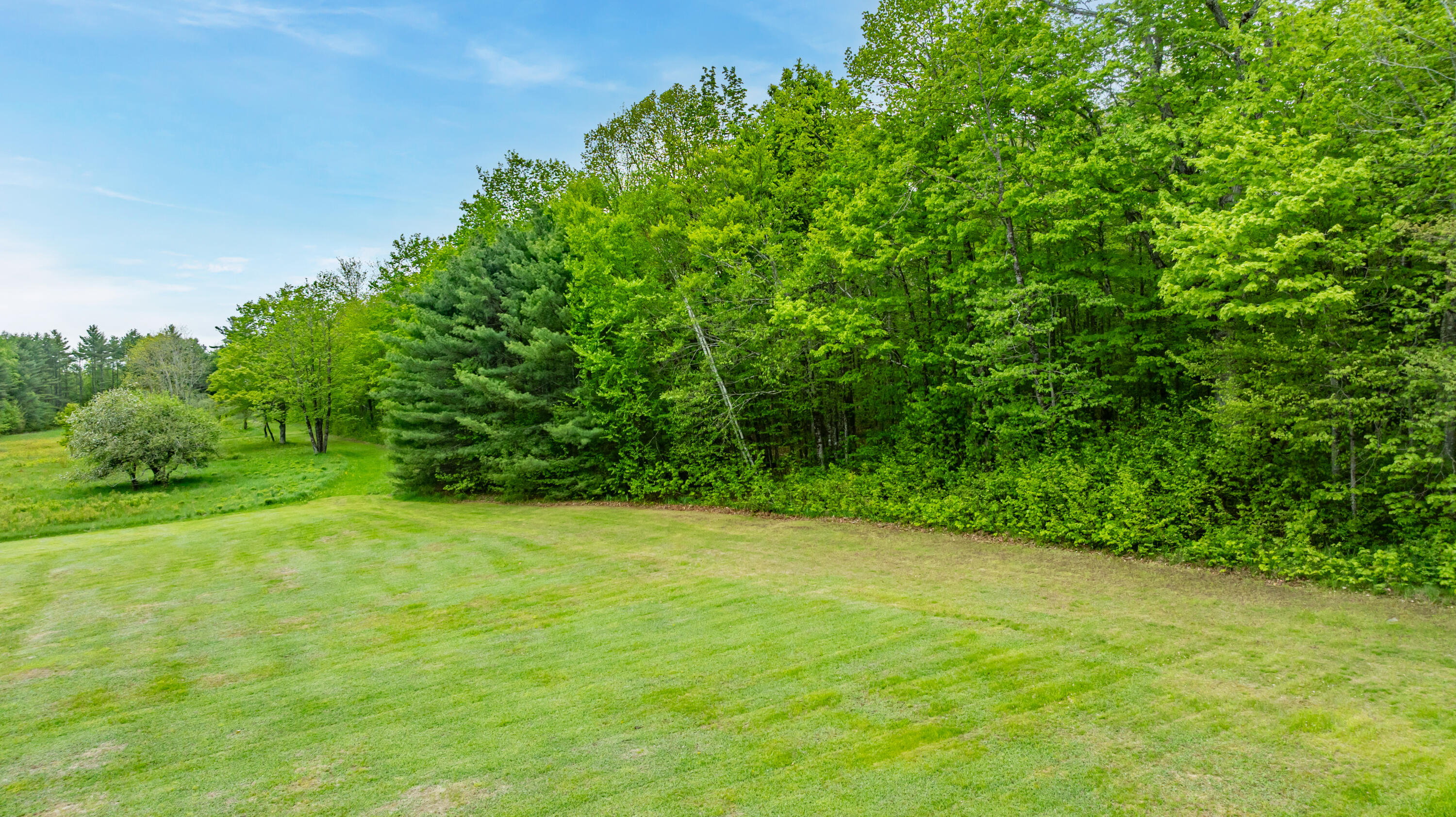303 Williams Road Property Photo 57