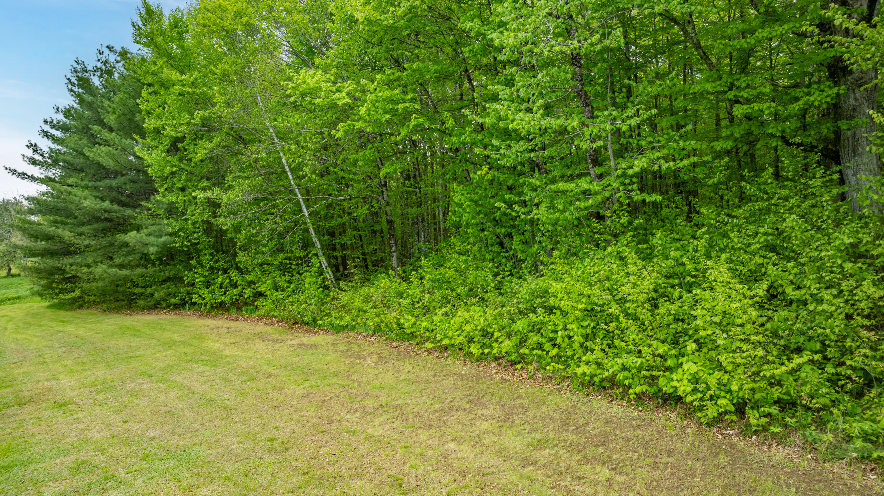303 Williams Road Property Photo 58