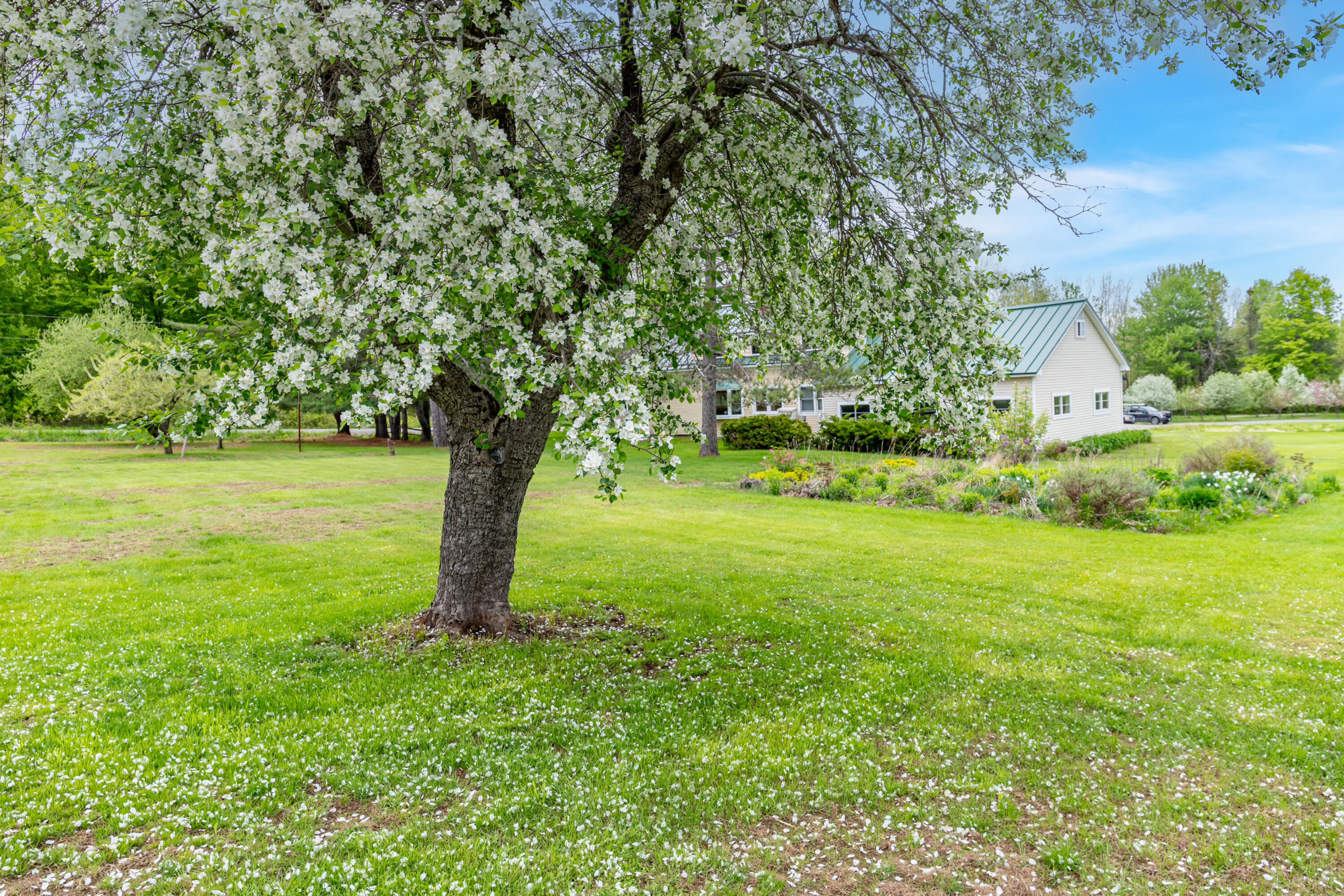 303 Williams Road Property Photo 66