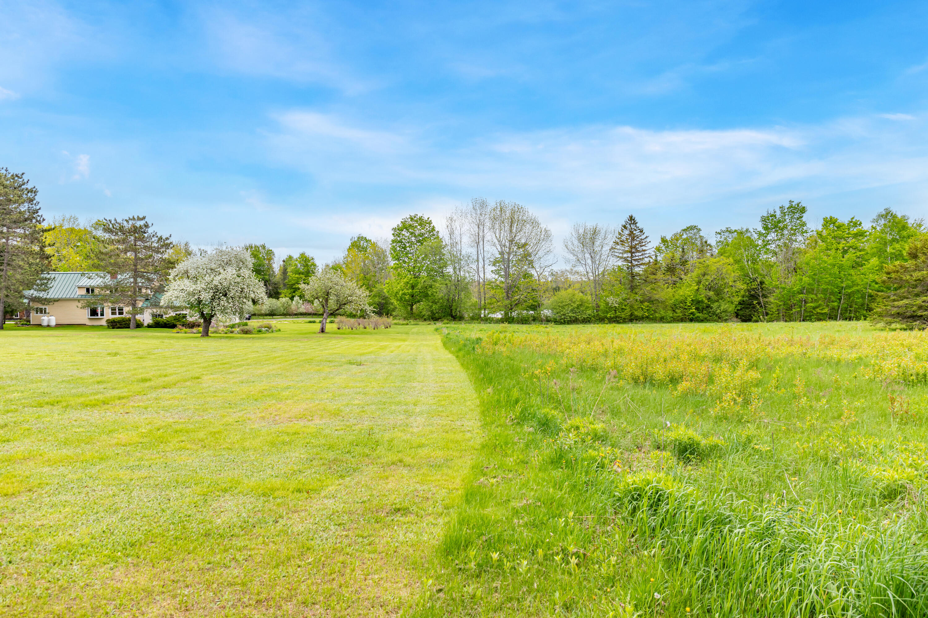 303 Williams Road Property Photo 68