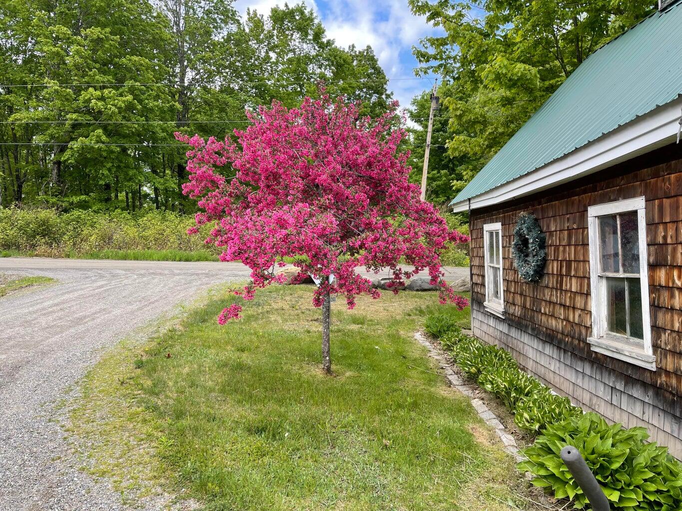 303 Williams Road Property Photo 78