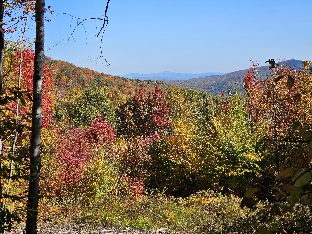Lot 9 E Moose Alley Road Property Photo 1