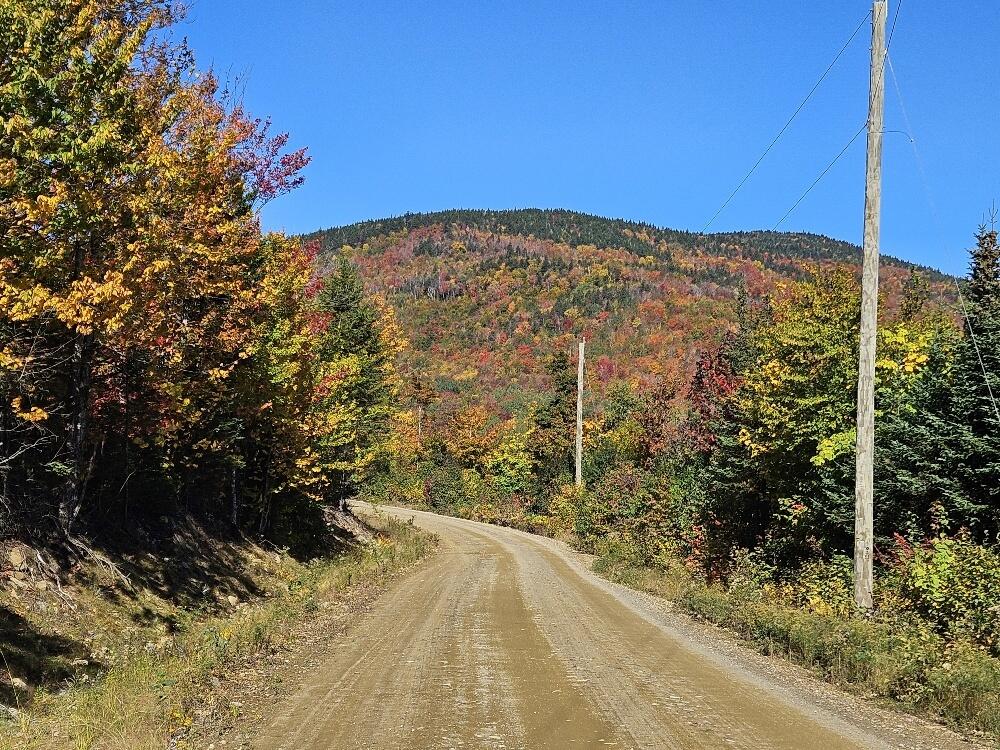 Lot 9 E Moose Alley Road Property Photo 3