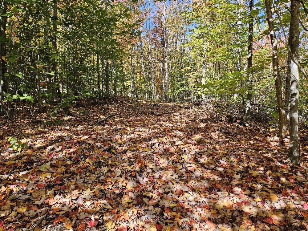 Lot 9 E Moose Alley Road Property Photo 5