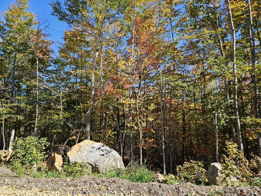 Lot 9 E Moose Alley Road Property Photo 8